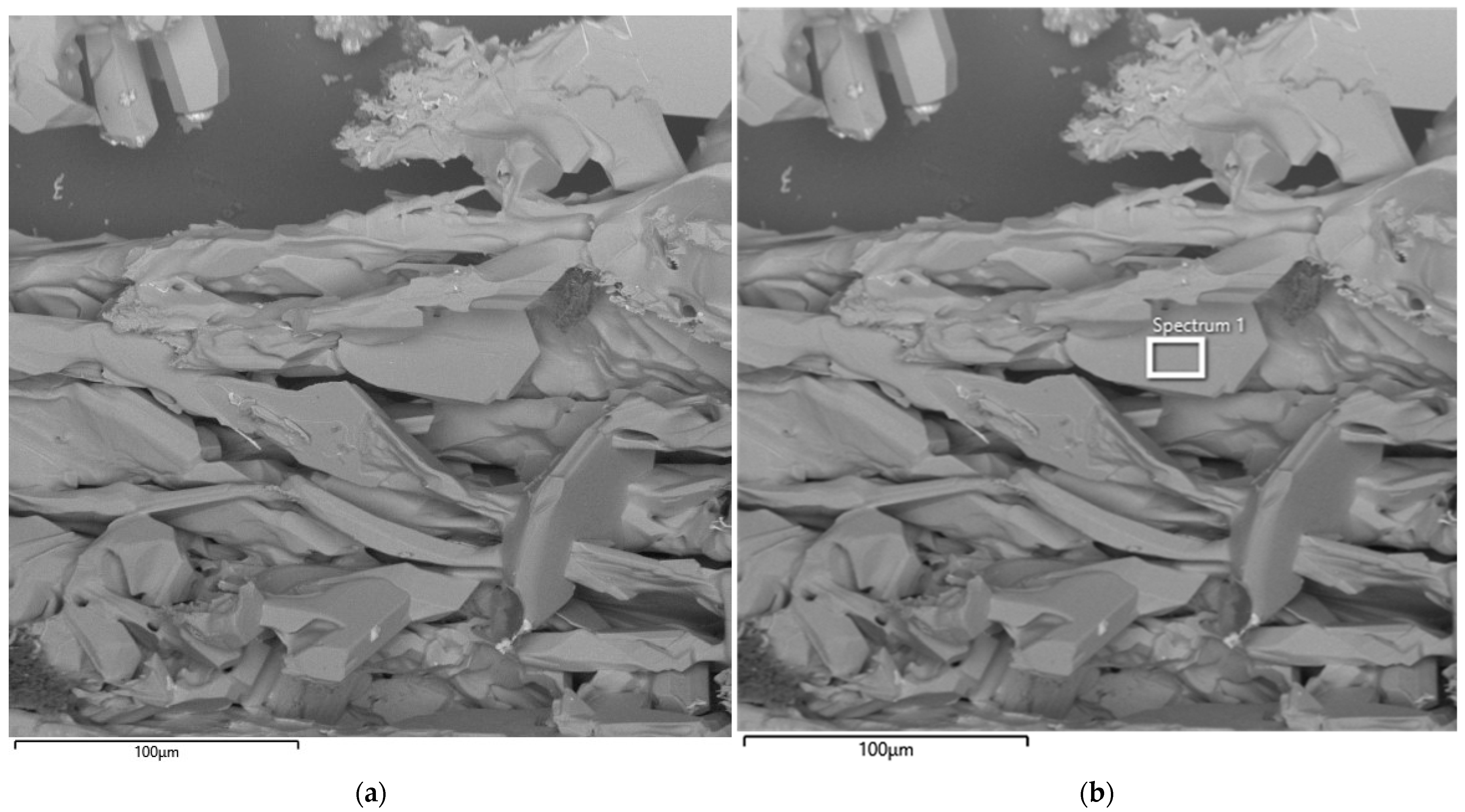 Processes 14 00539 g014