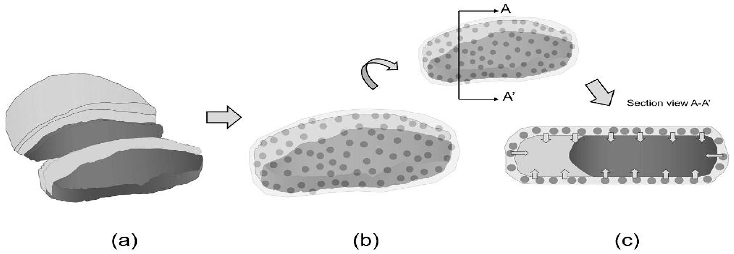 Processes 14 00561 g003