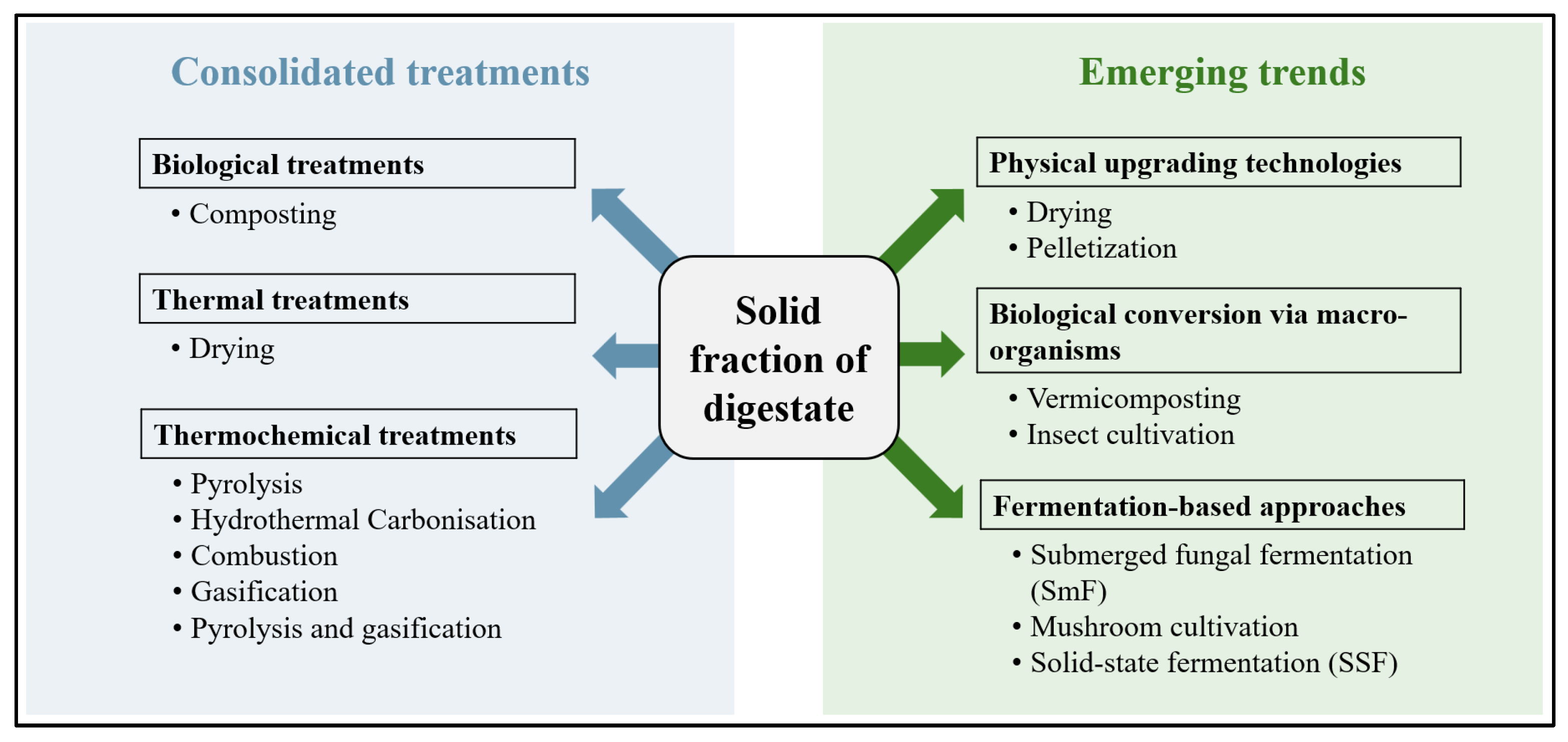 Processes 14 00577 g002