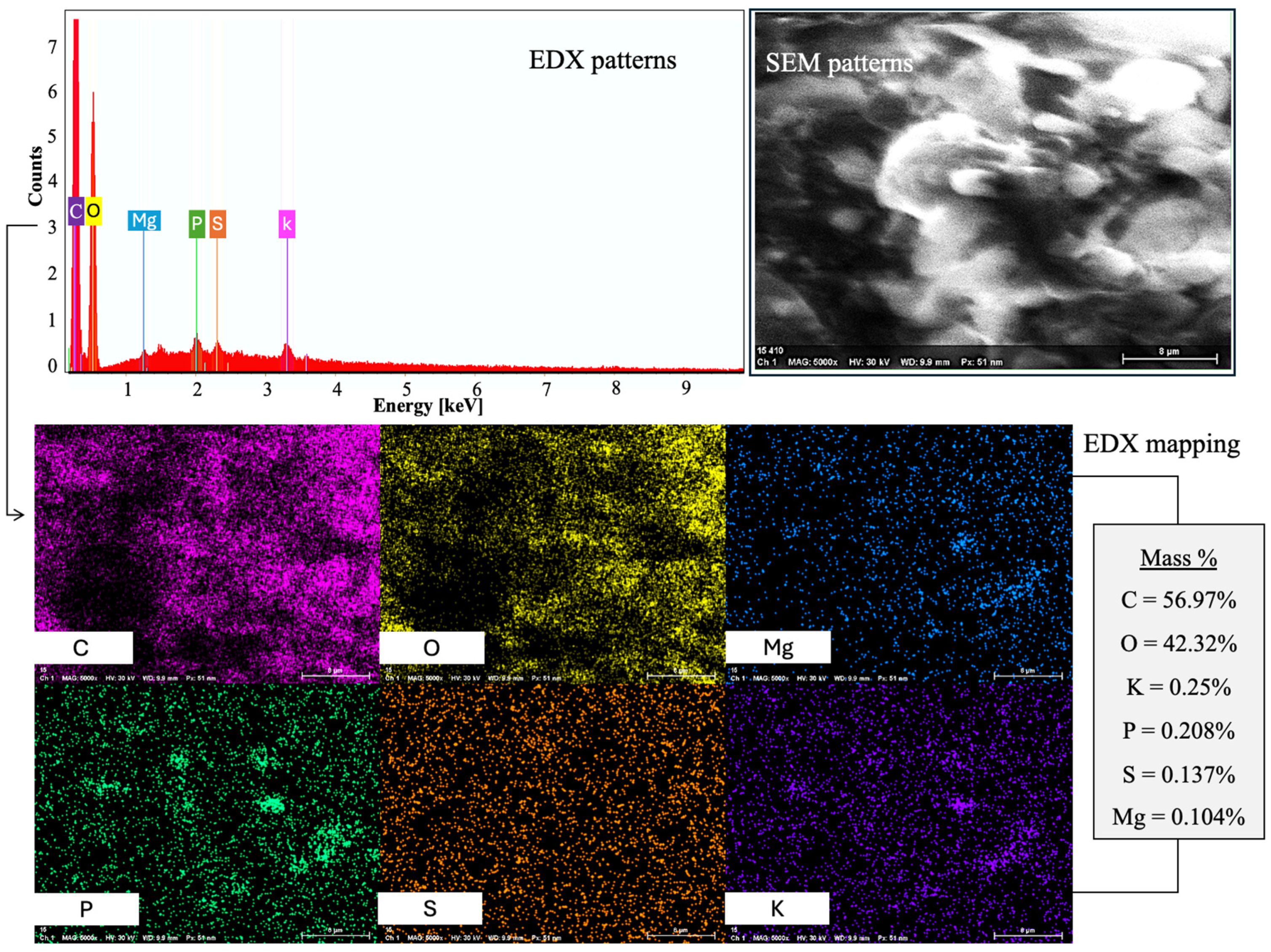 Processes 14 00587 g004