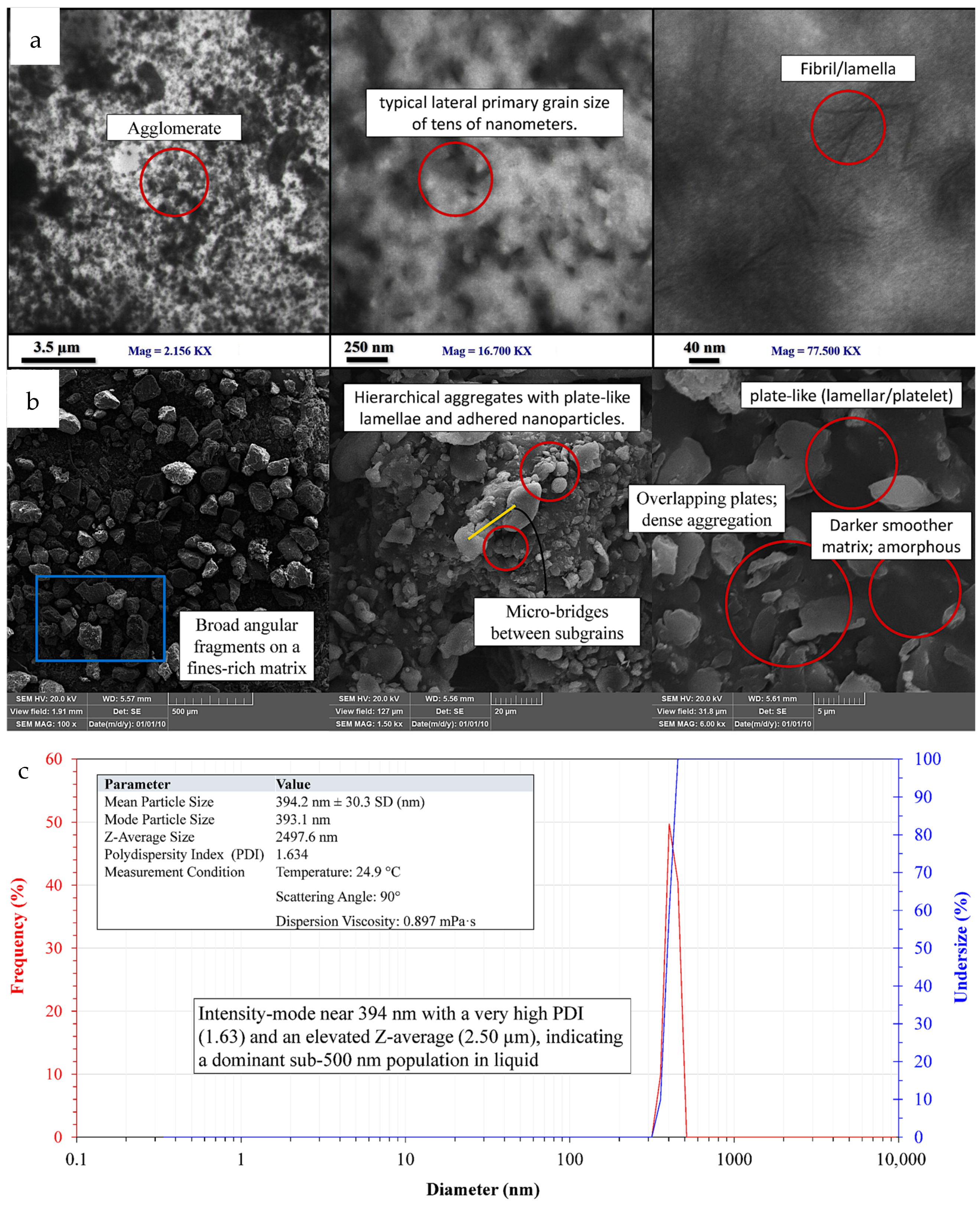 Processes 14 00587 g009