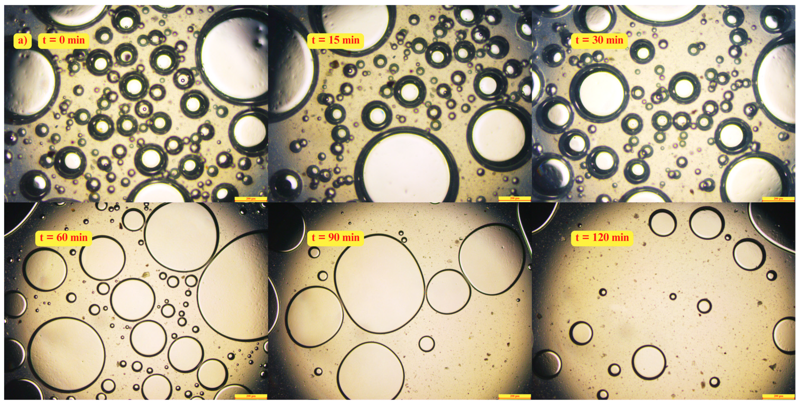 Processes 14 00587 g013a