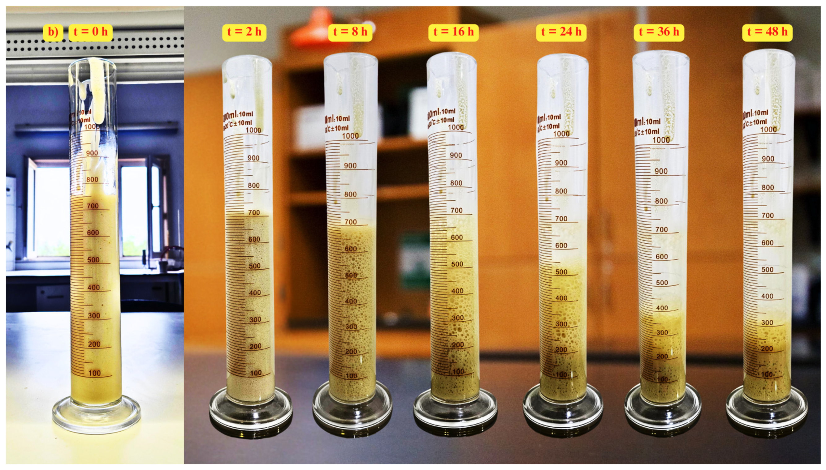 Processes 14 00587 g013b
