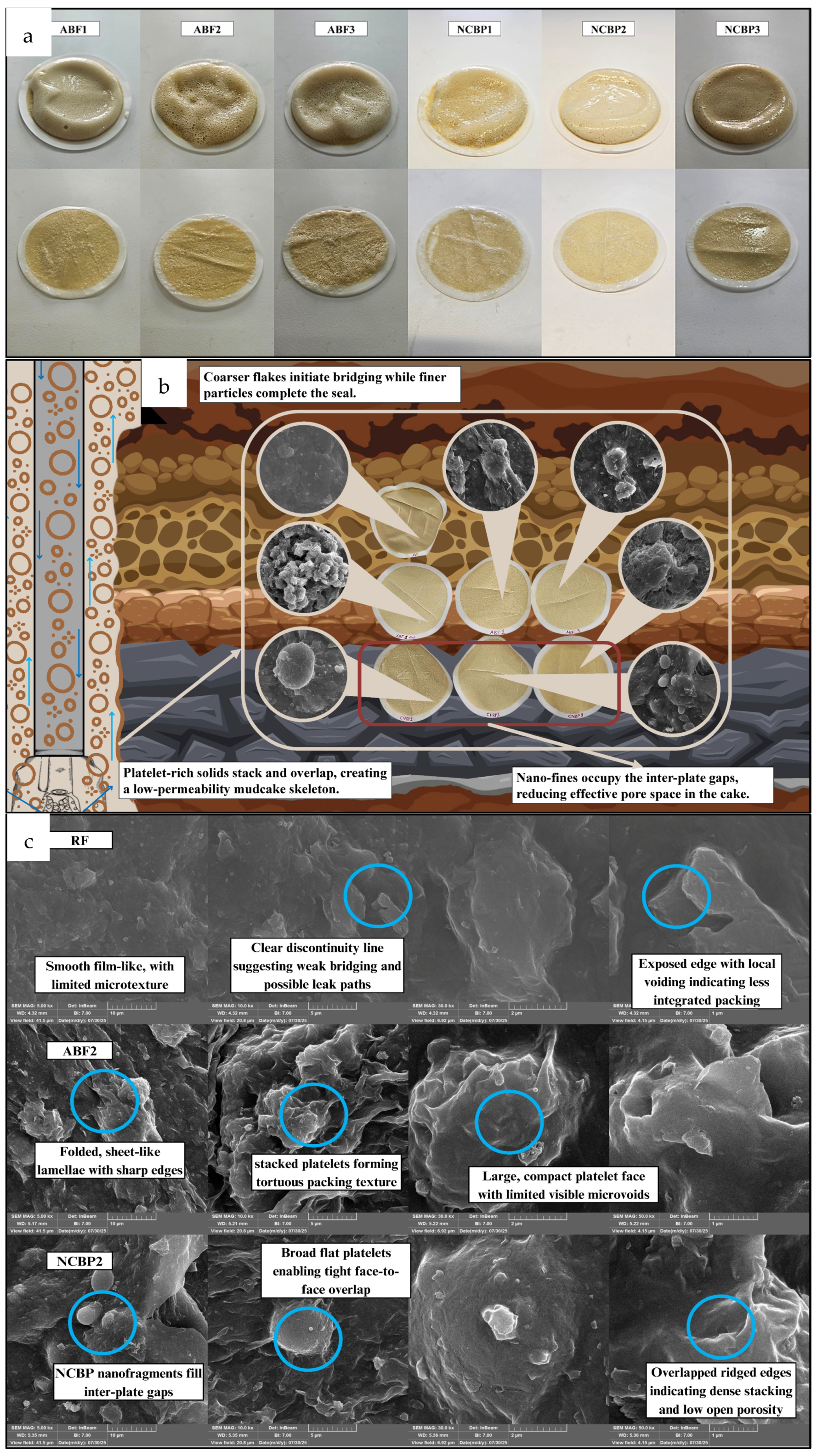 Processes 14 00587 g019