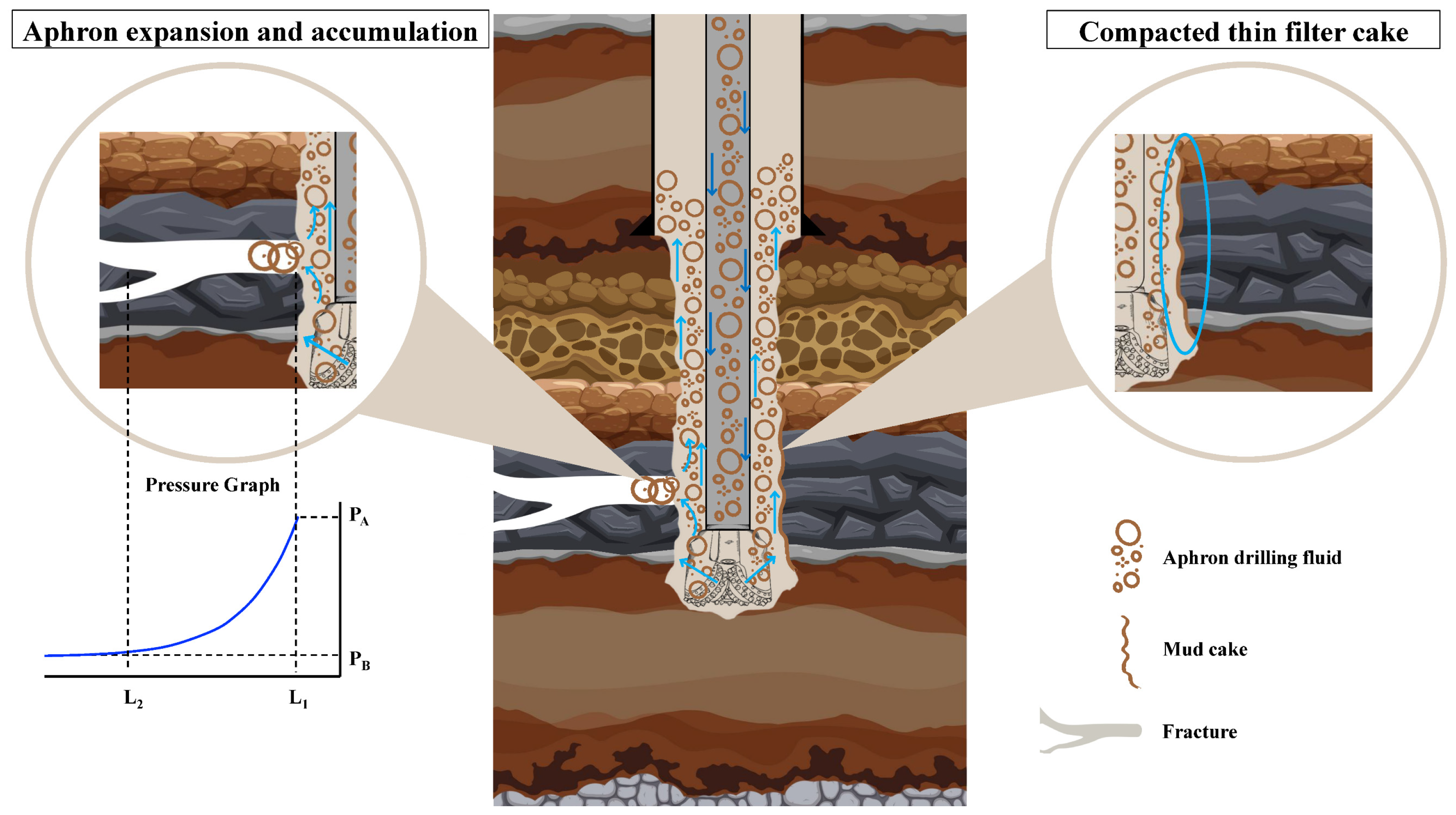 Processes 14 00587 g020