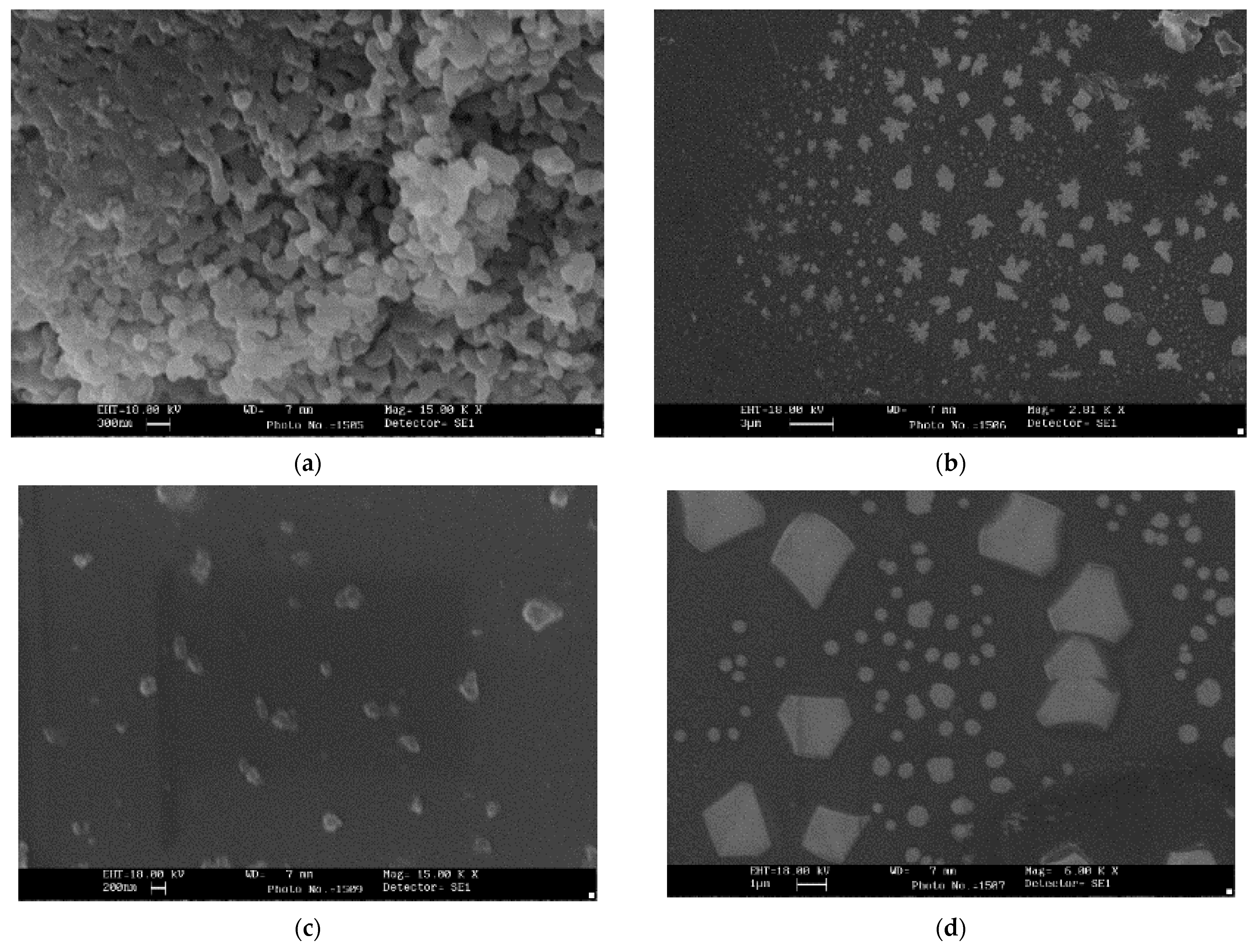 Processes 14 00681 g005 Processes 14 00681 g005