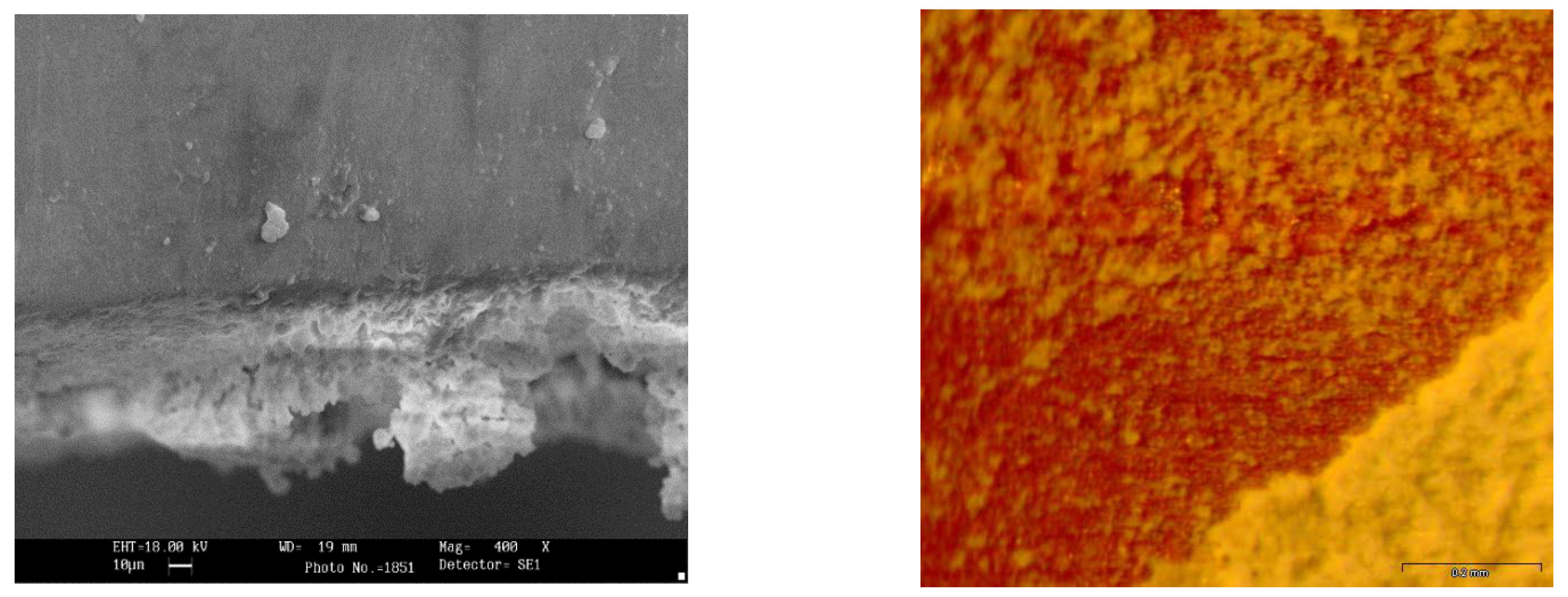 Processes 14 00681 g006 Processes 14 00681 g006