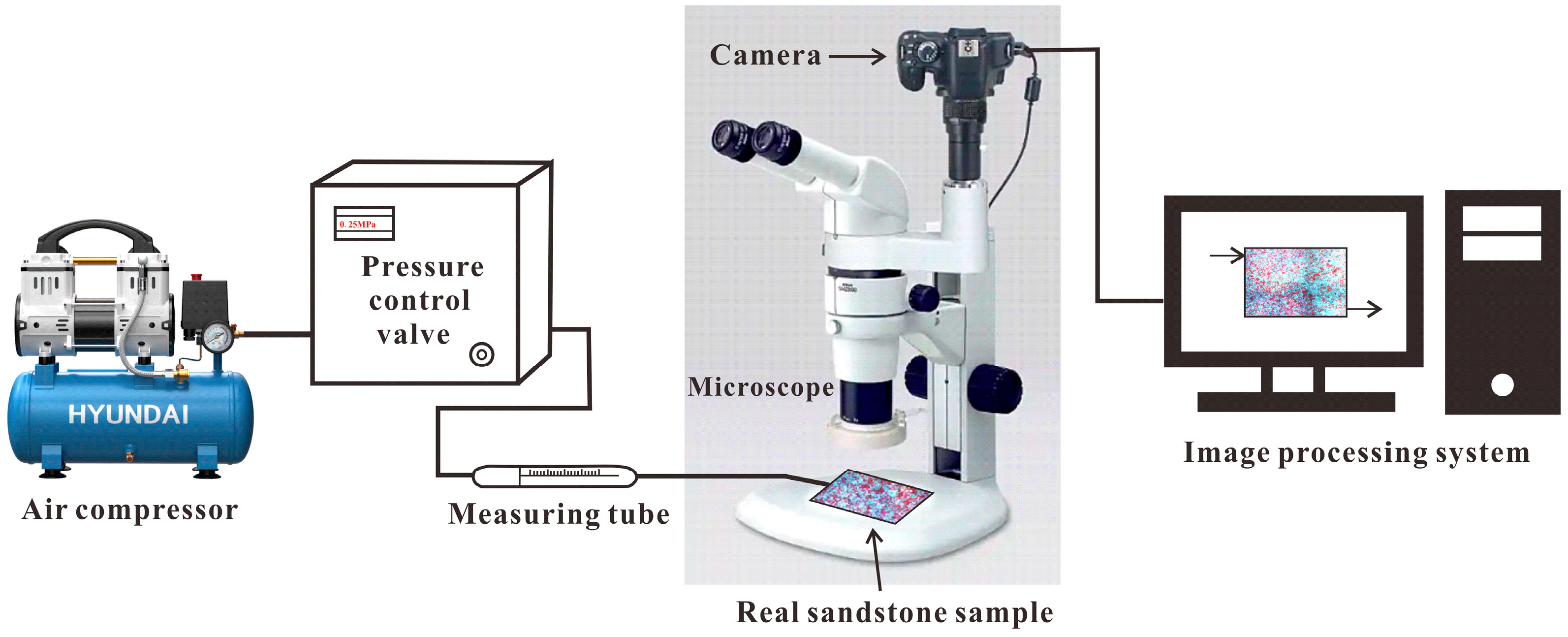 Processes 14 00685 g003