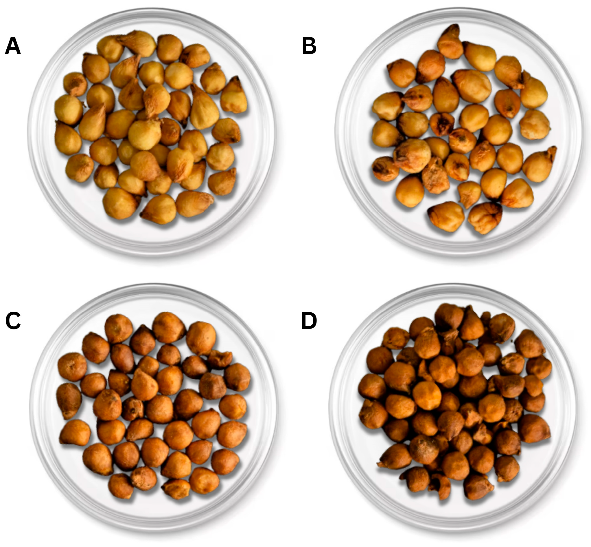 Processes 14 00780 g005