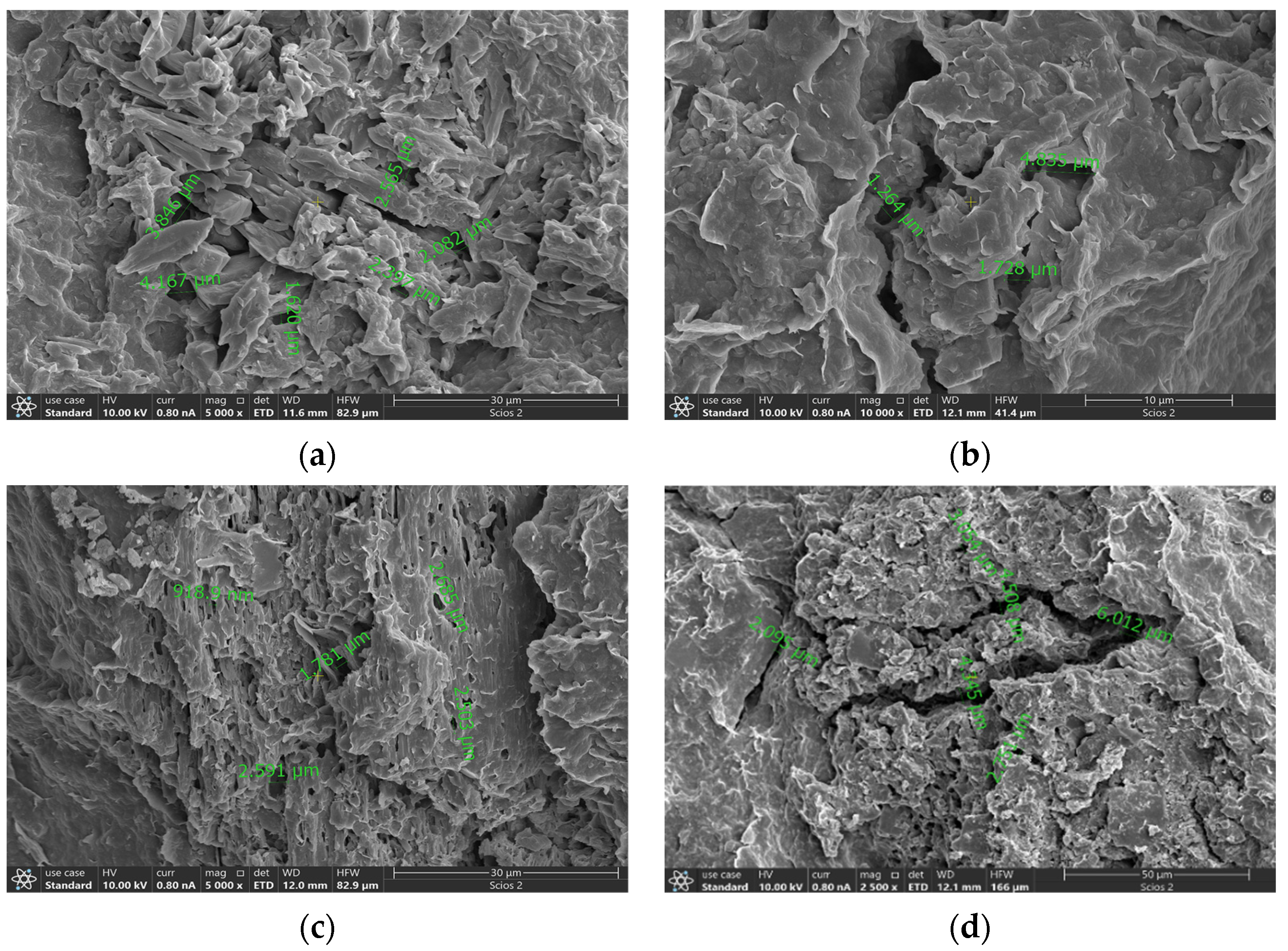 Processes 14 00830 g012