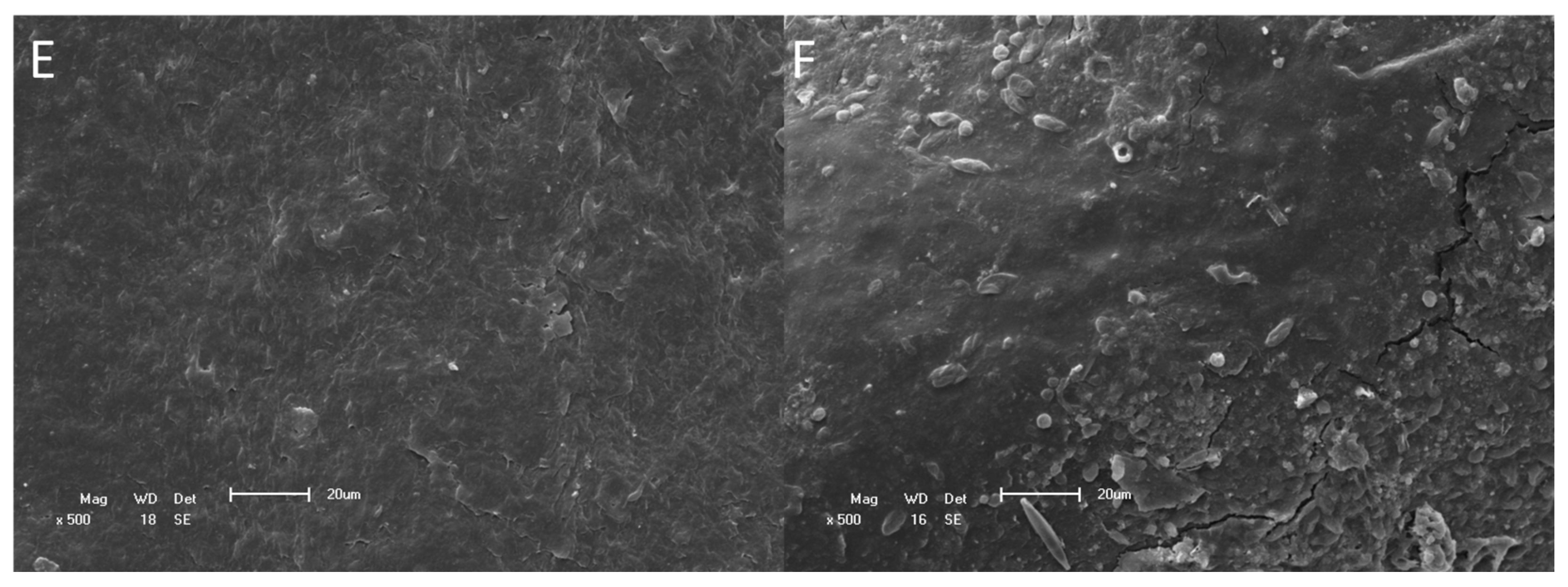 Processes 14 01001 g007b Processes 14 01001 g007b