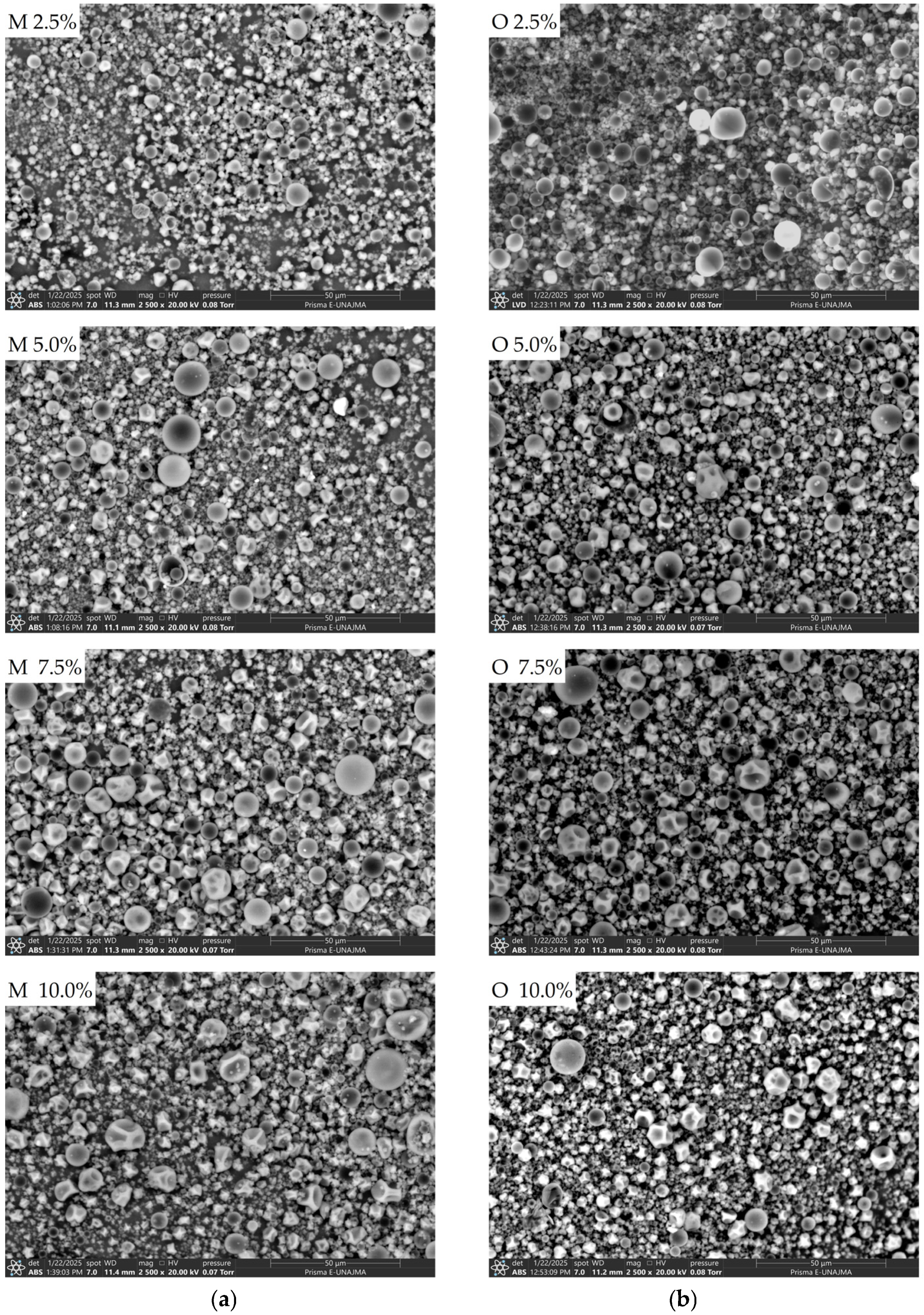 Processes 14 01136 g004