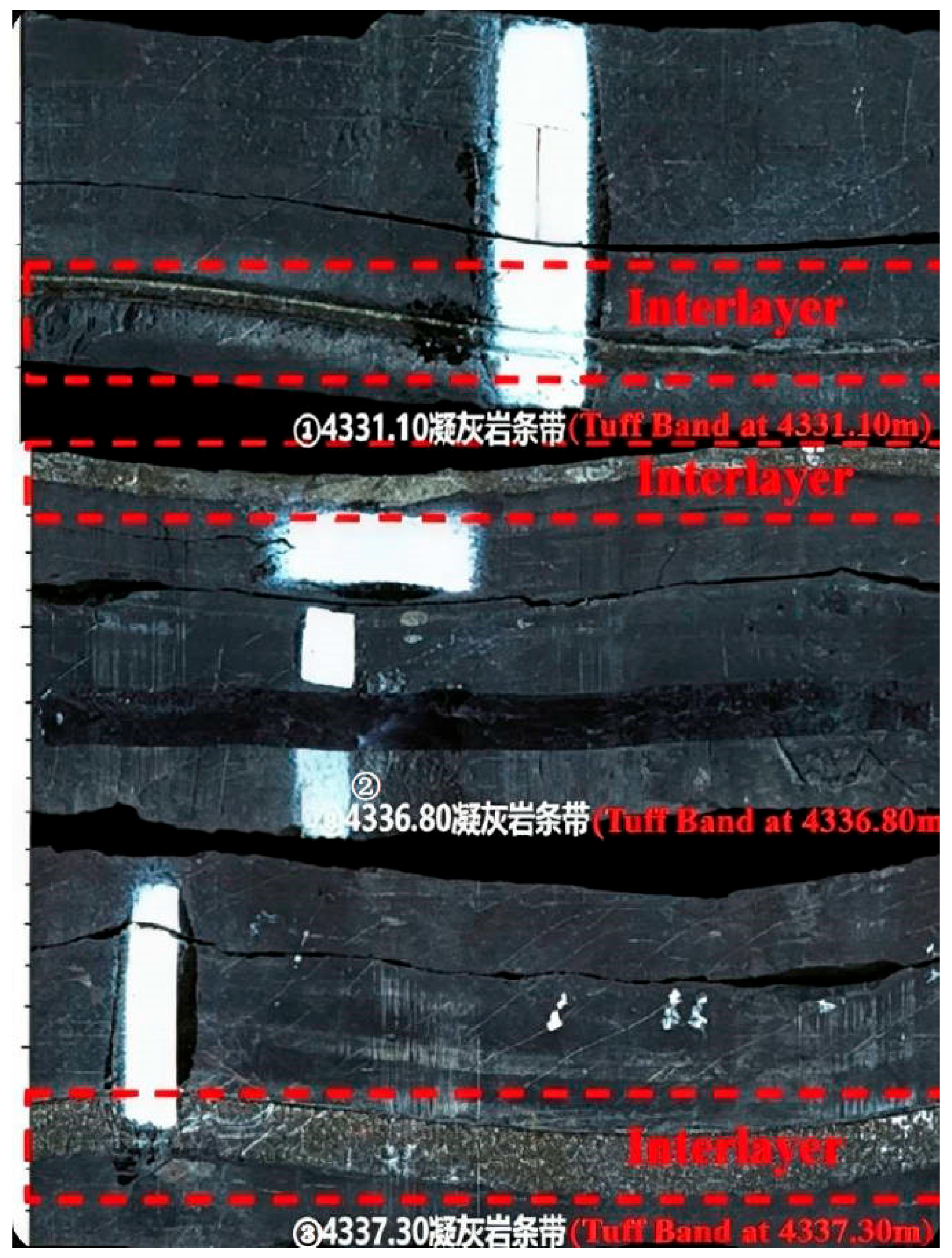 Processes 14 01341 g002 Processes 14 01341 g002