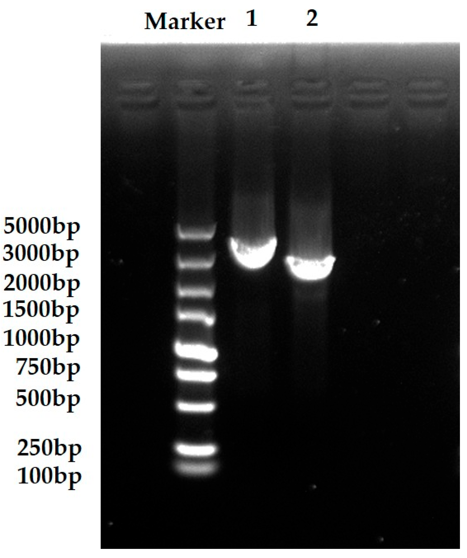 Processes 14 01347 g001 Processes 14 01347 g001