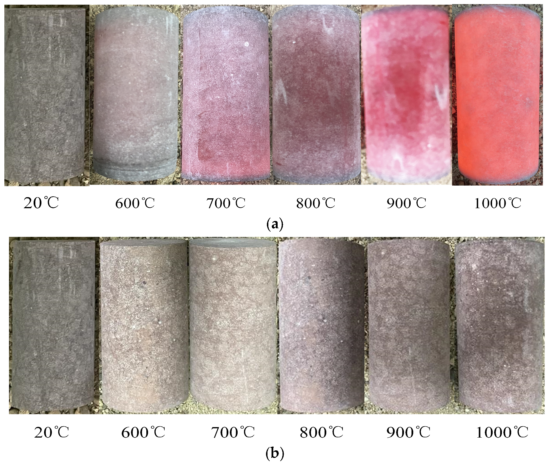 Processes 14 02033 g003 Processes 14 02033 g003