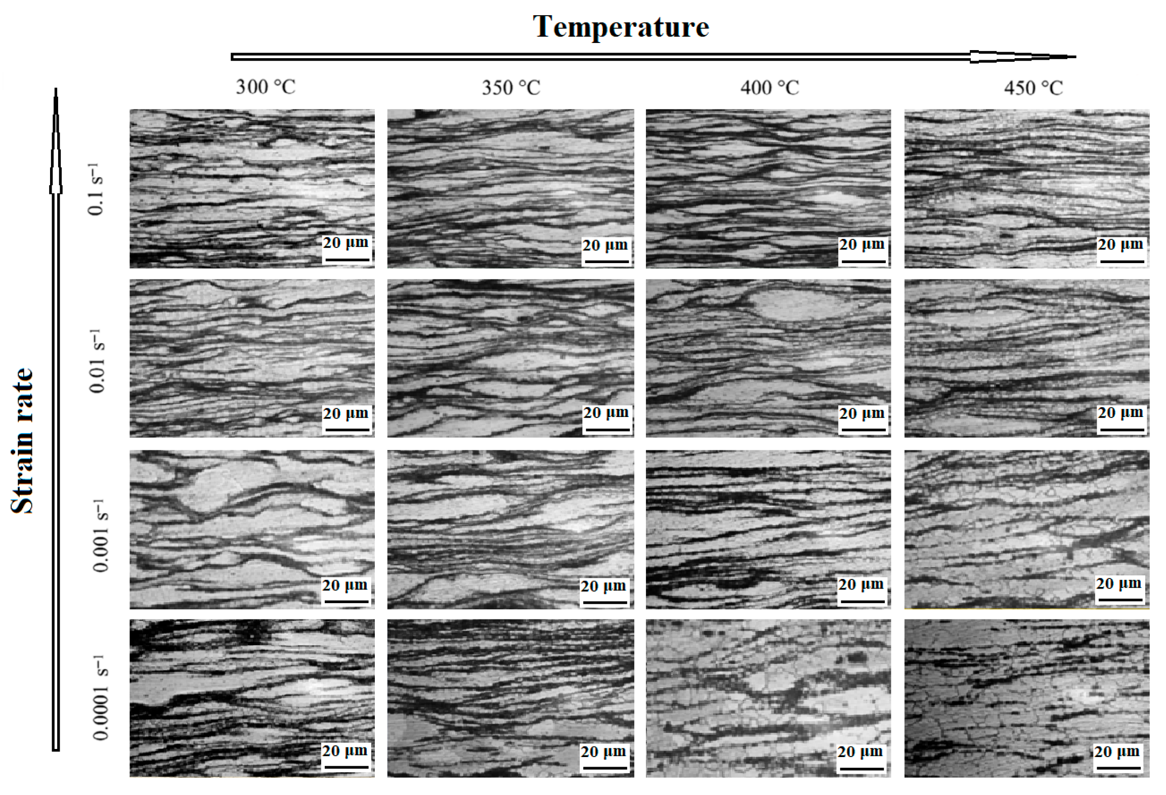 Processes 14 02034 g009 Processes 14 02034 g009