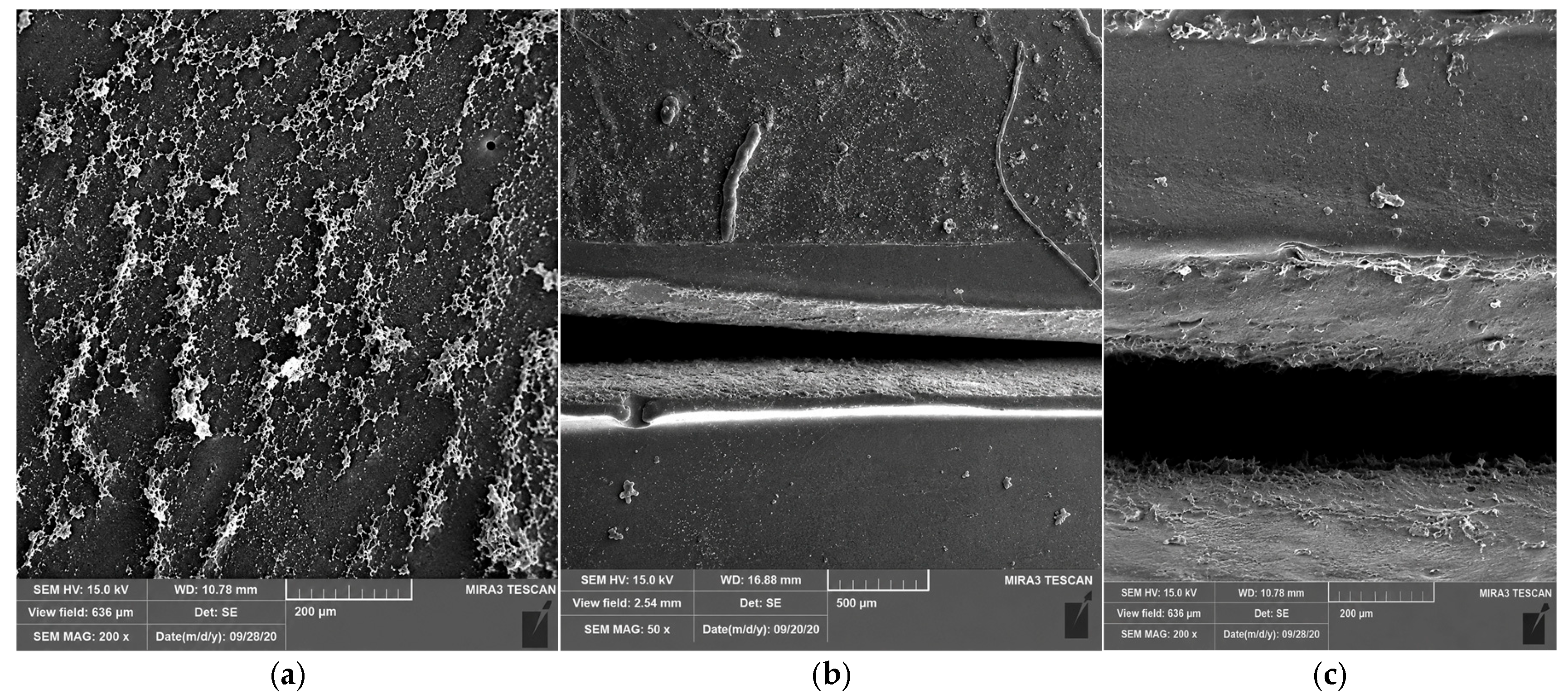 Processes 14 02052 g019 Processes 14 02052 g019