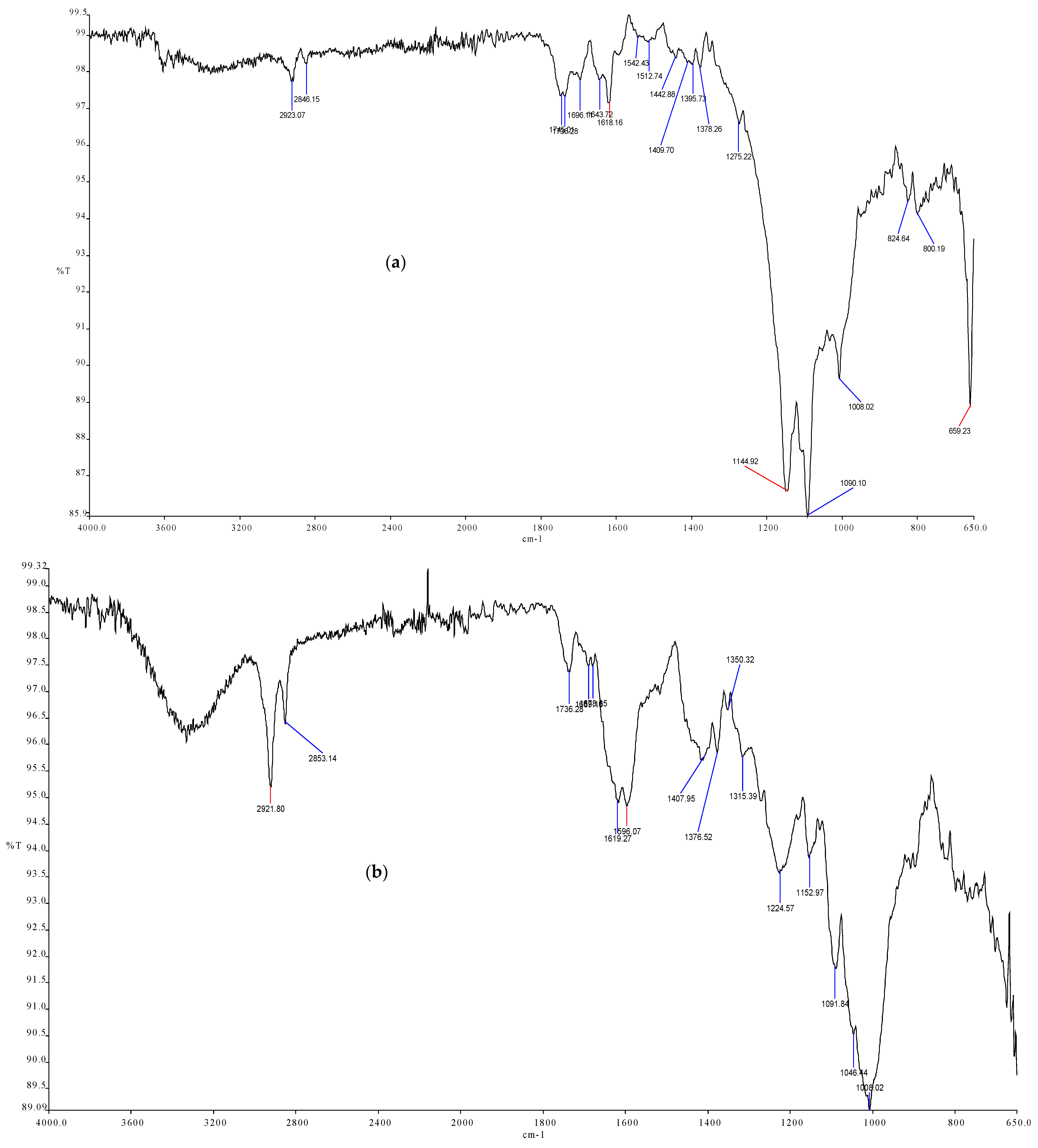 Processes 14 02117 g010a Processes 14 02117 g010a
