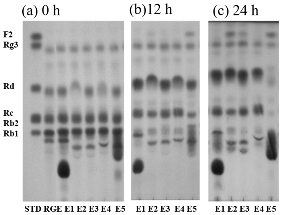 Processes 14 02928 g002 Processes 14 02928 g002