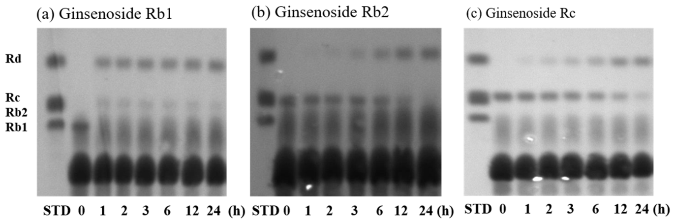 Processes 14 02928 g003 Processes 14 02928 g003