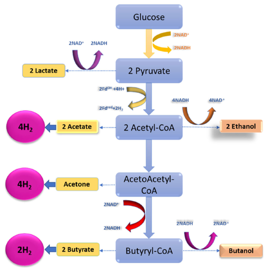 Processes 14 02972 g001 Processes 14 02972 g001