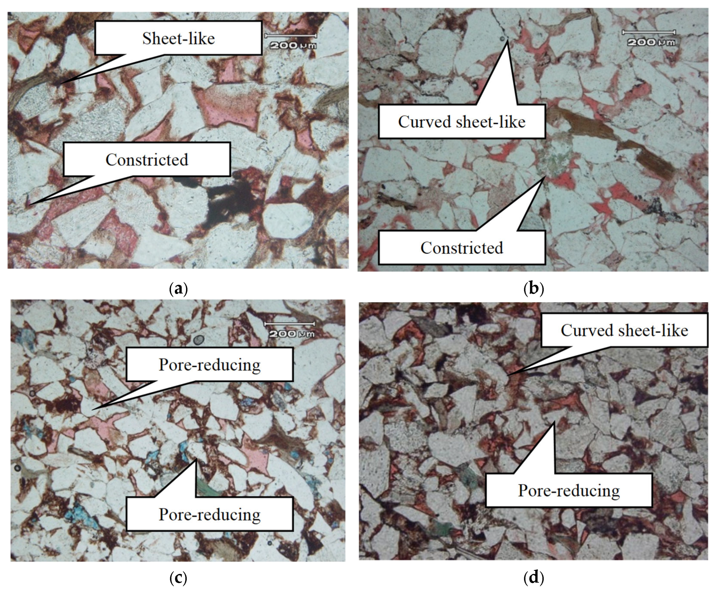 Multiscale Heterogeneity and Pore–Throat Controls on Upper Paleozoic ...