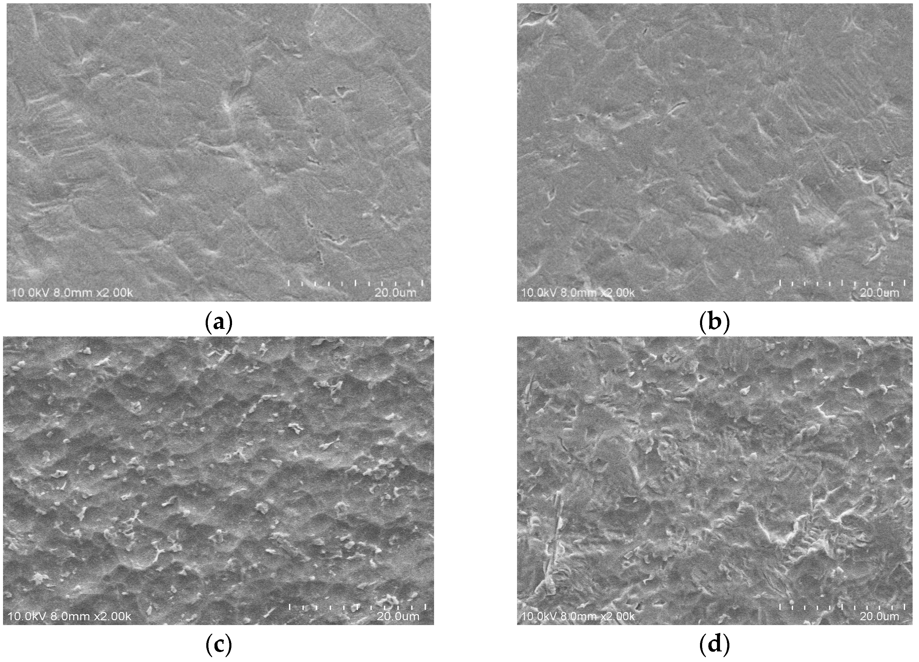 Processes 14 03244 g005a Processes 14 03244 g005a