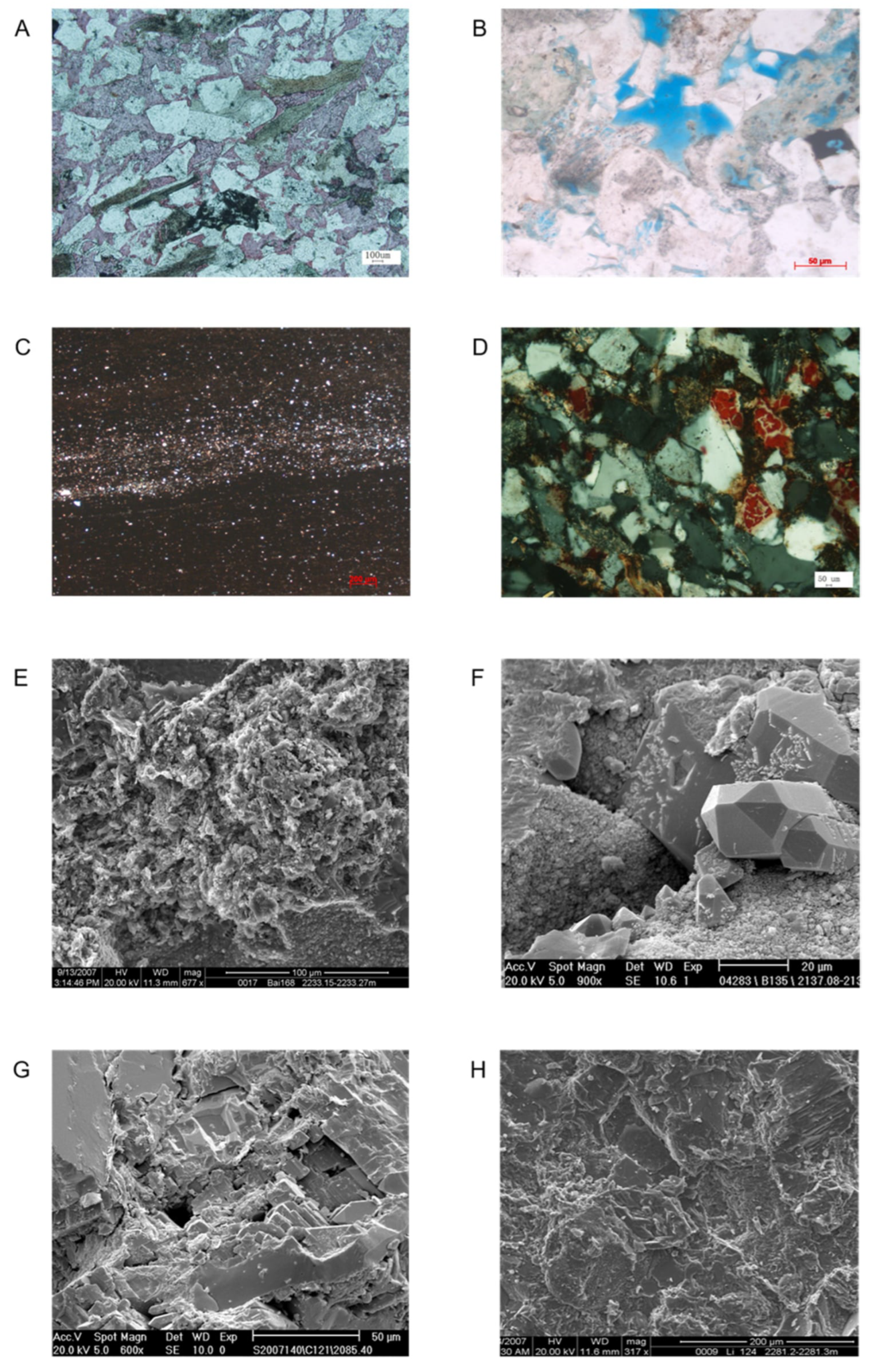 Characteristics and Weakly Supervised Screening of Diagenetic Facies in ...