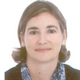 Prof. Dr. Lourdes Amigo avatar image