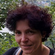 Prof. Dr. Dorota Formanowicz avatar image