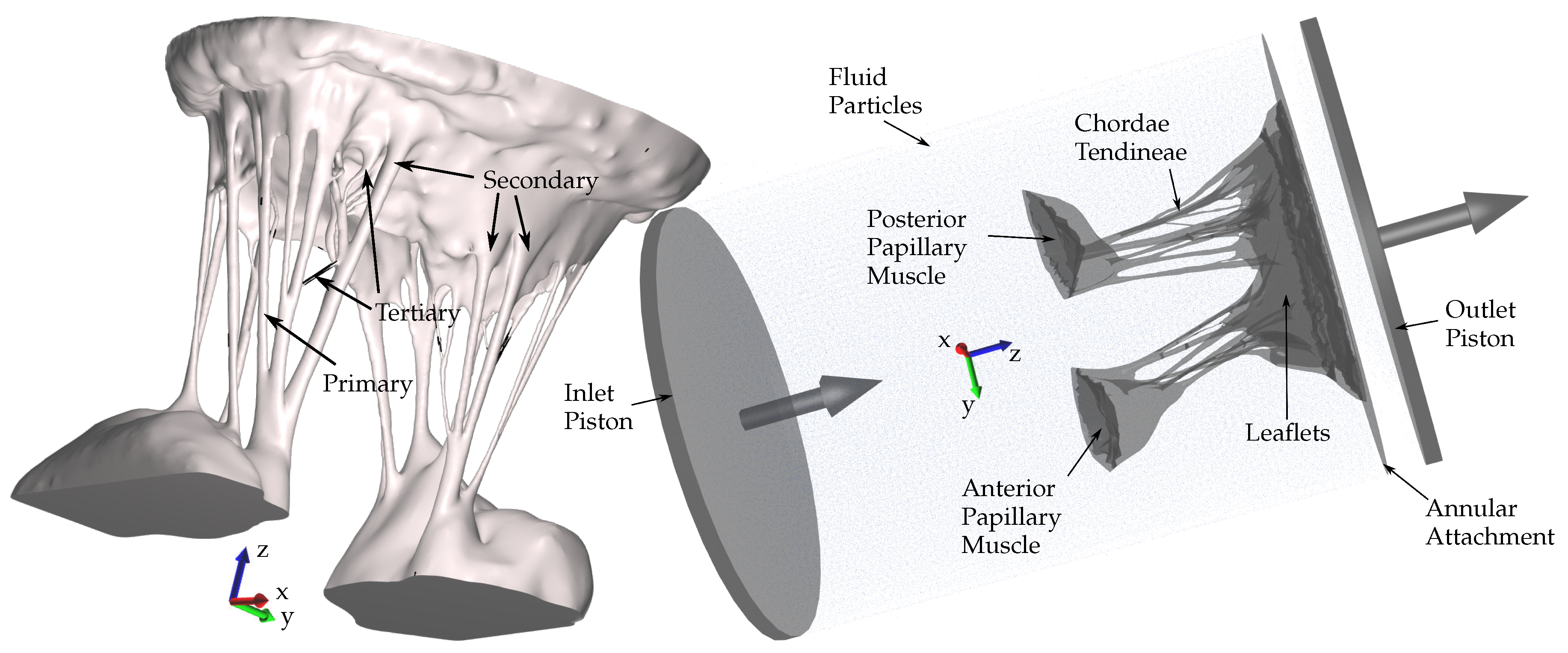 Prosthesis 02 00007 g001