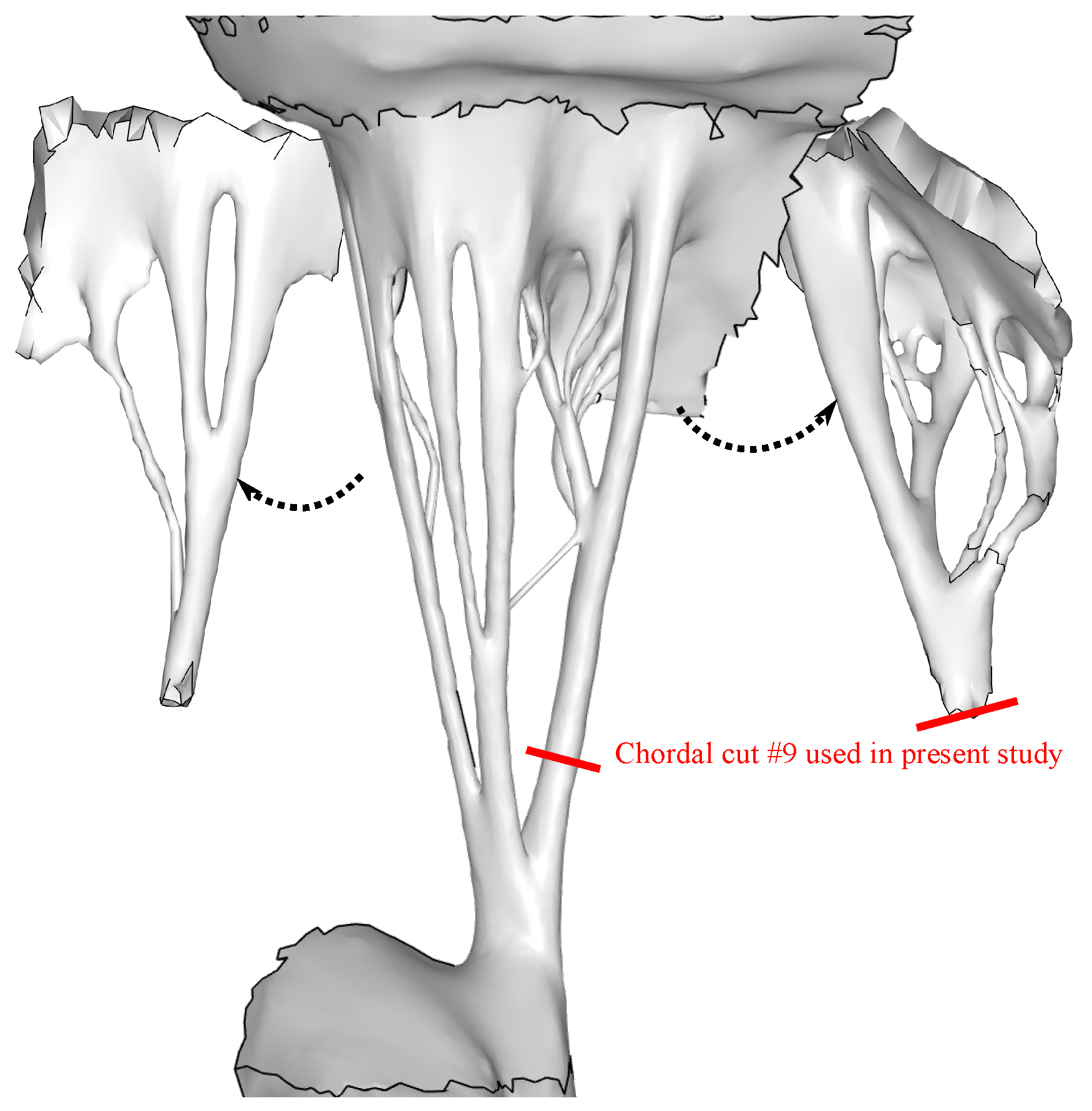 Prosthesis 02 00007 g004