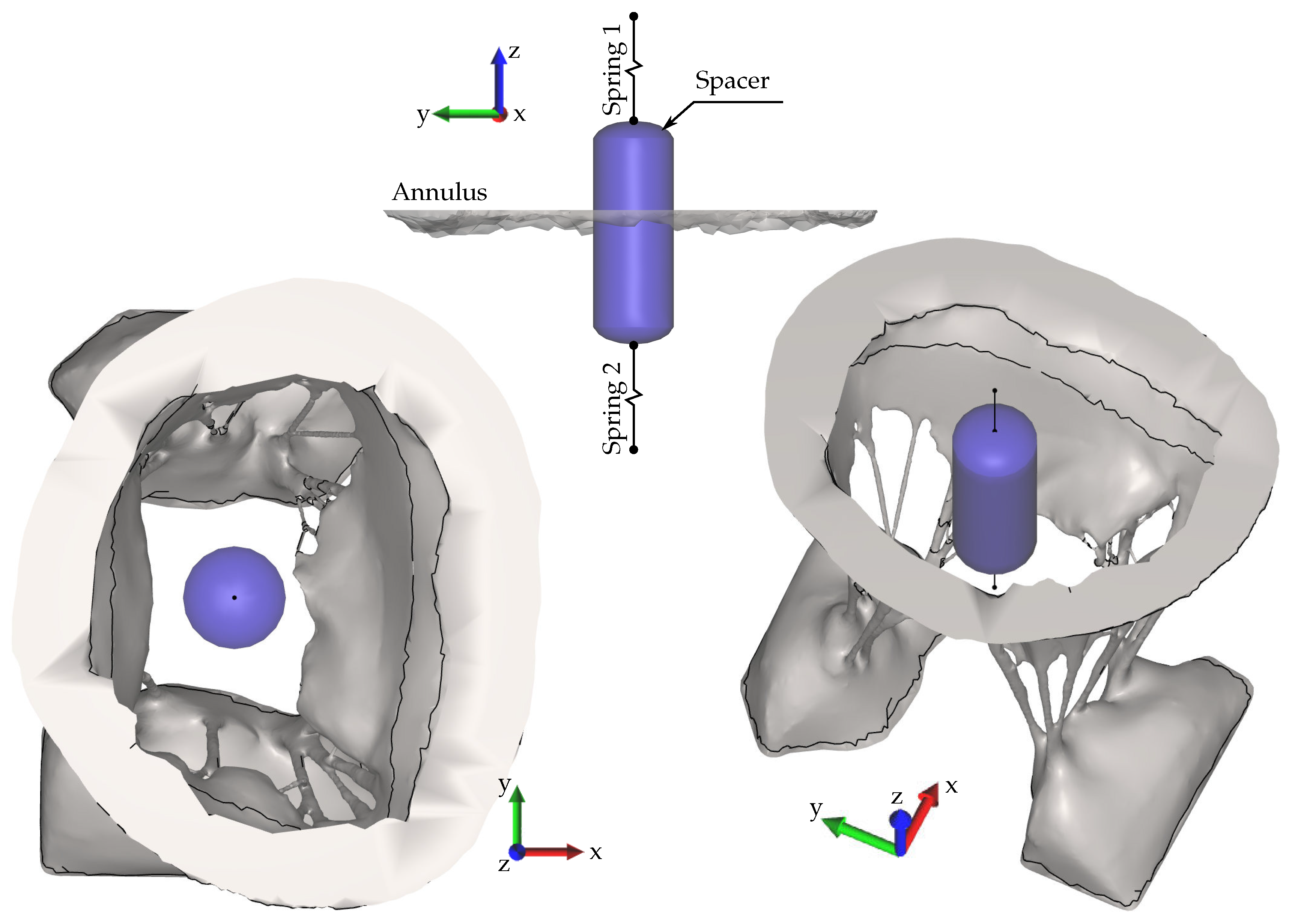 Prosthesis 02 00007 g005
