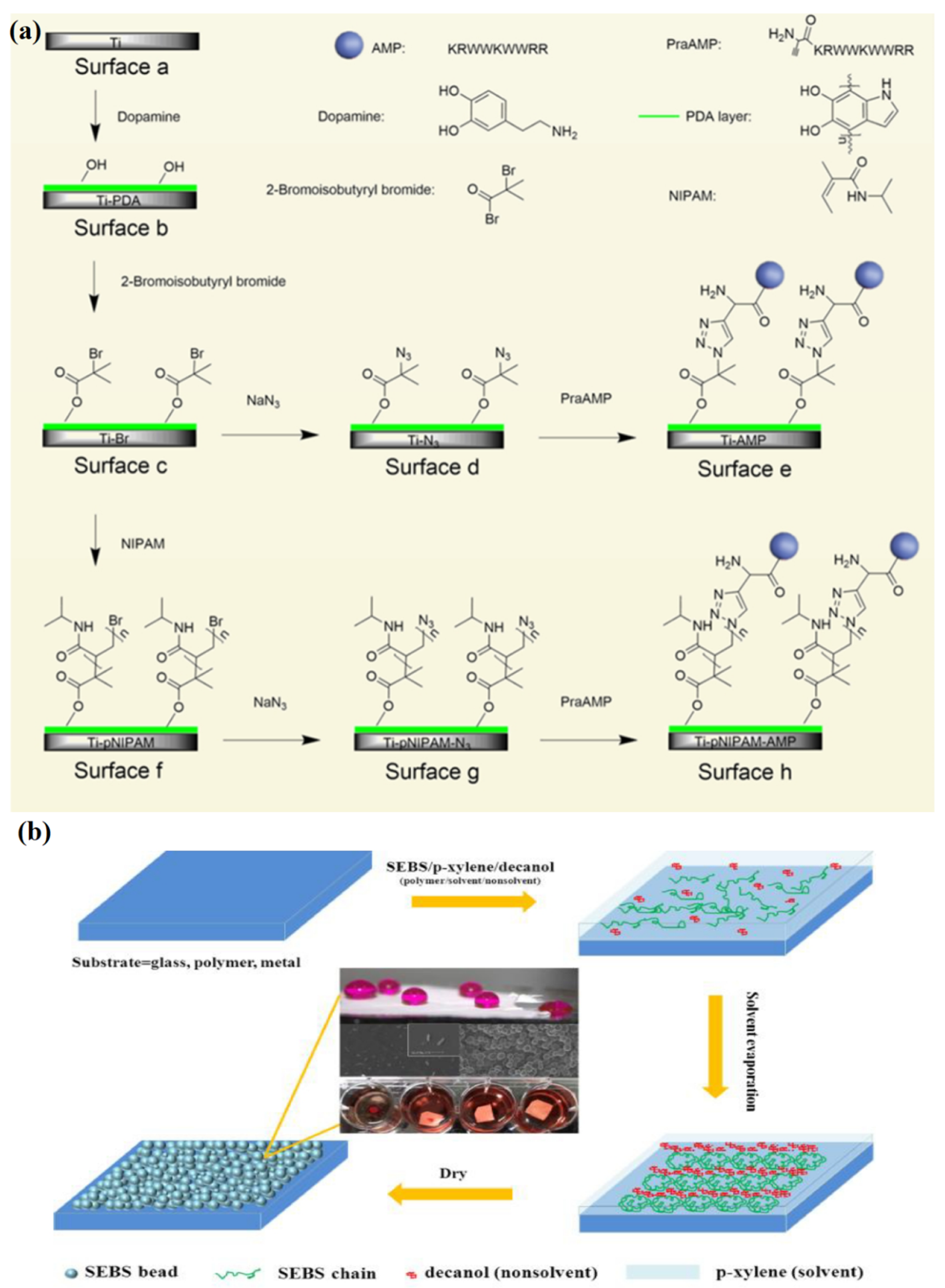 Prosthesis 02 00012 g003
