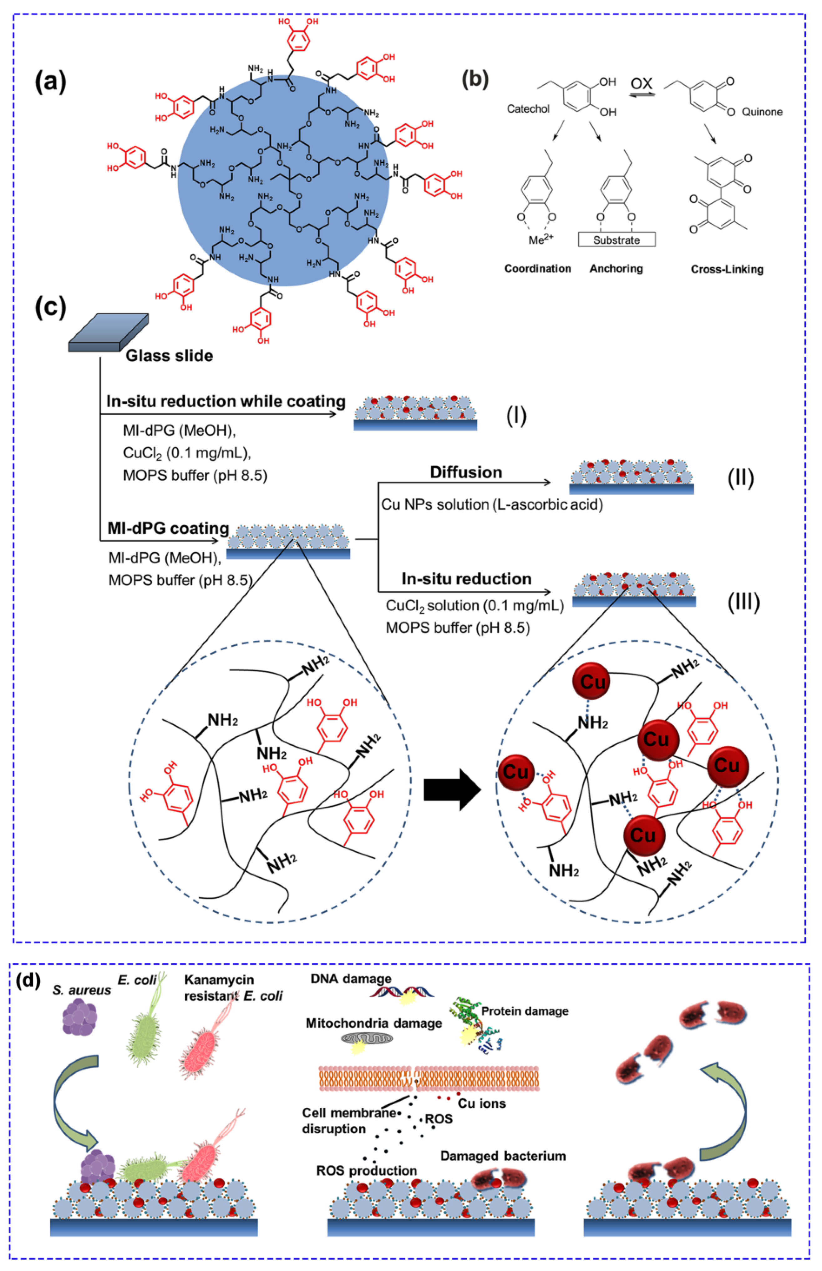 Prosthesis 02 00012 g004