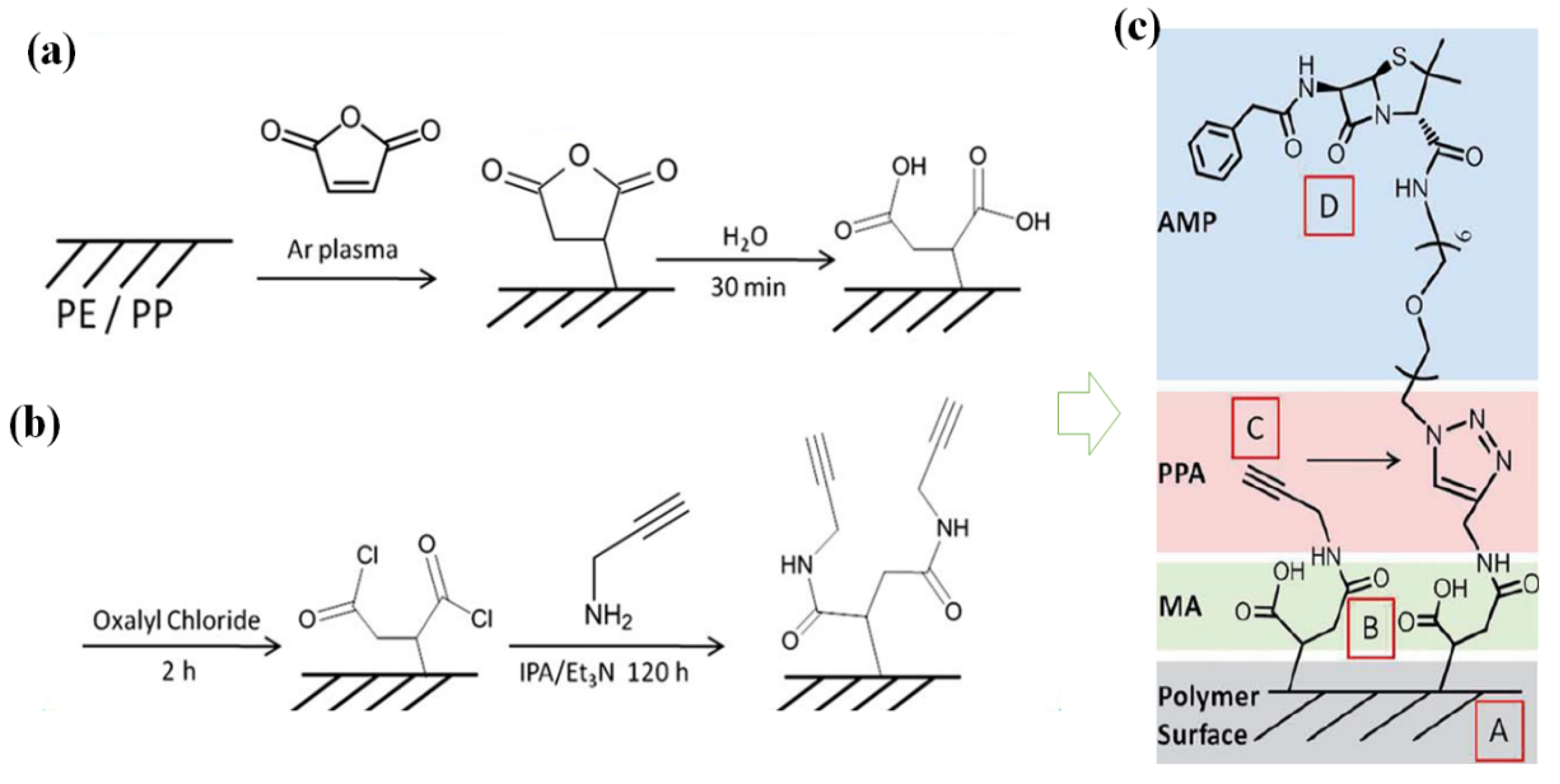 Prosthesis 02 00012 g005