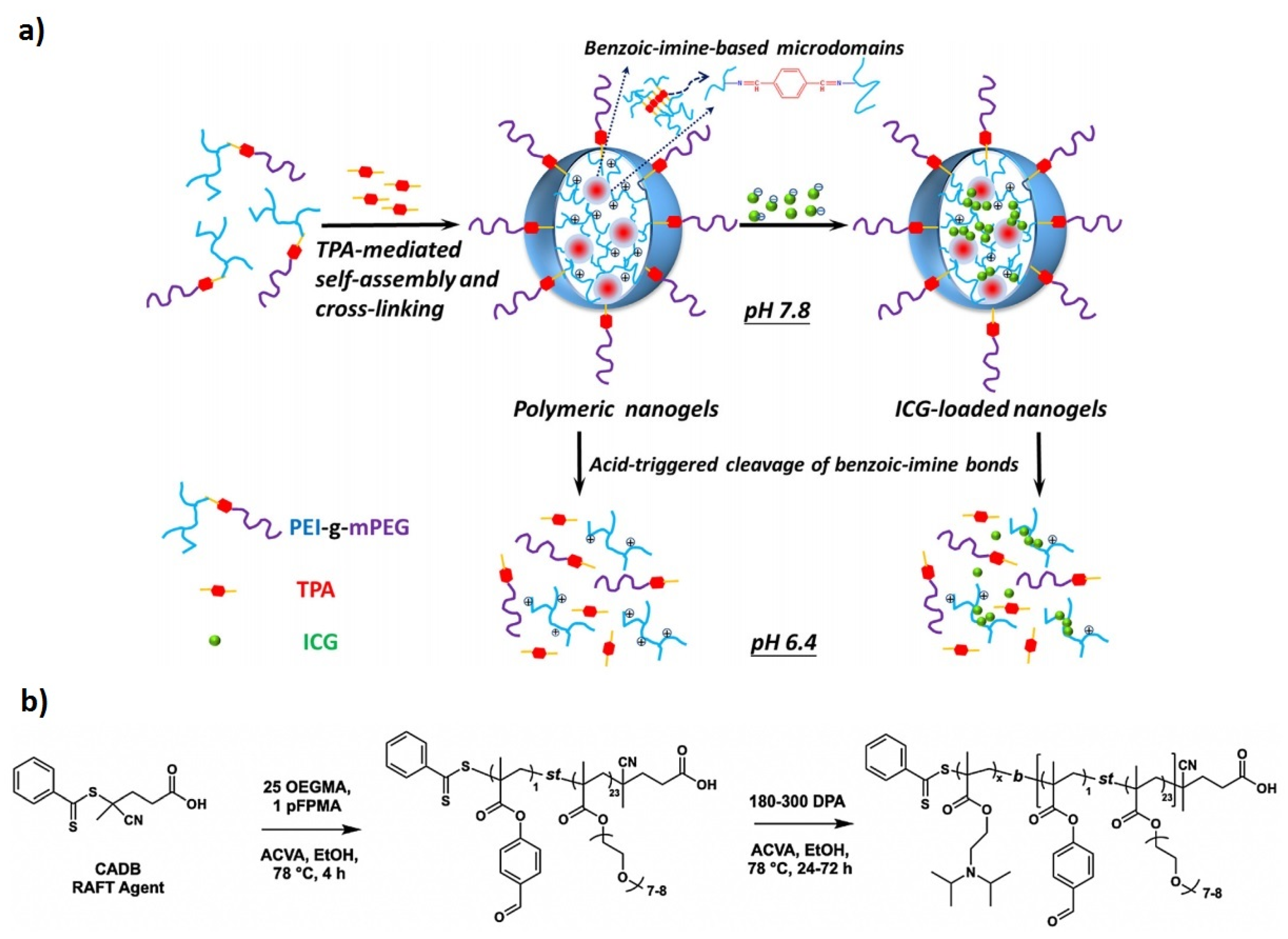 Prosthesis 02 00012 g008