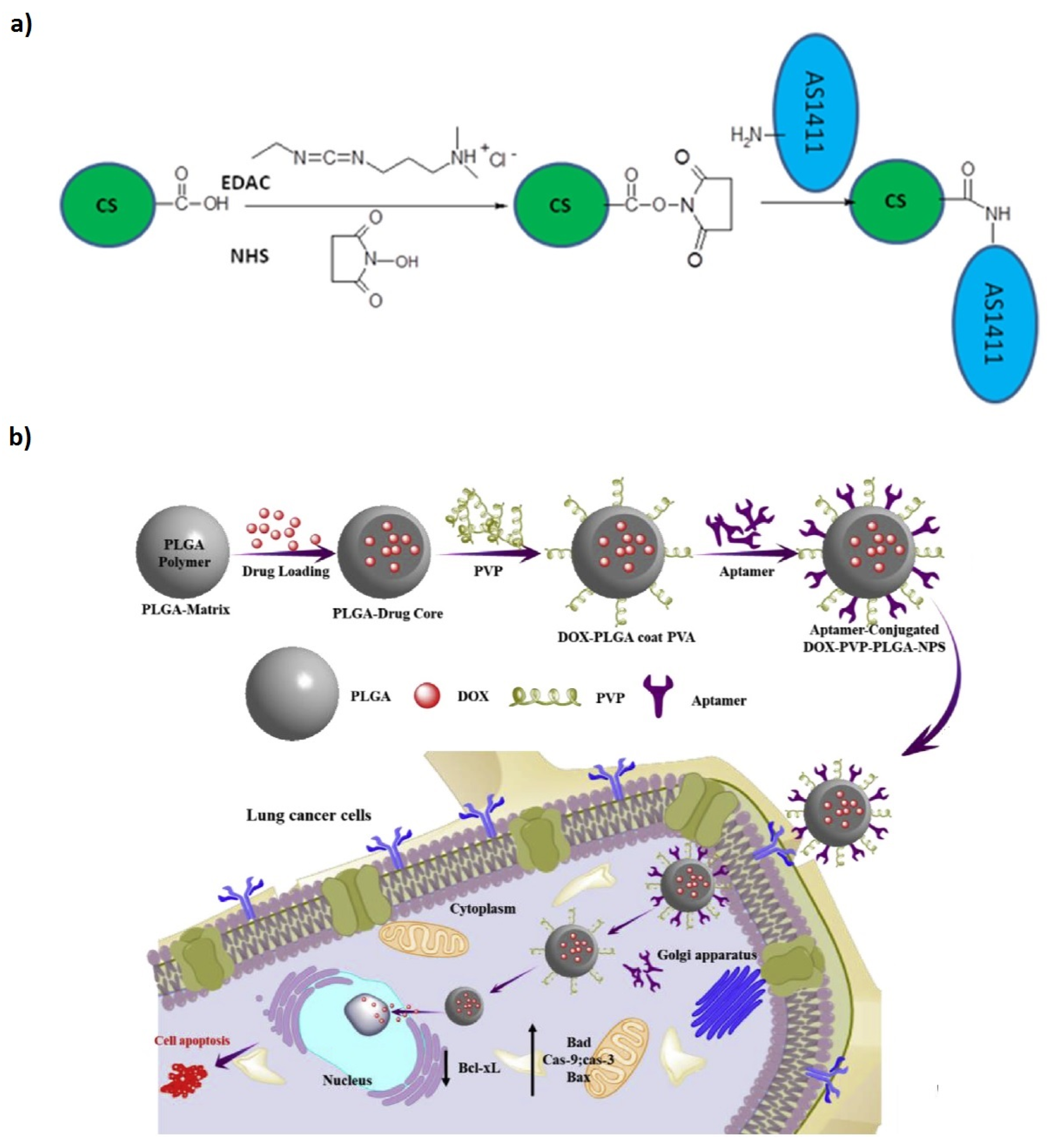 Prosthesis 02 00012 g009
