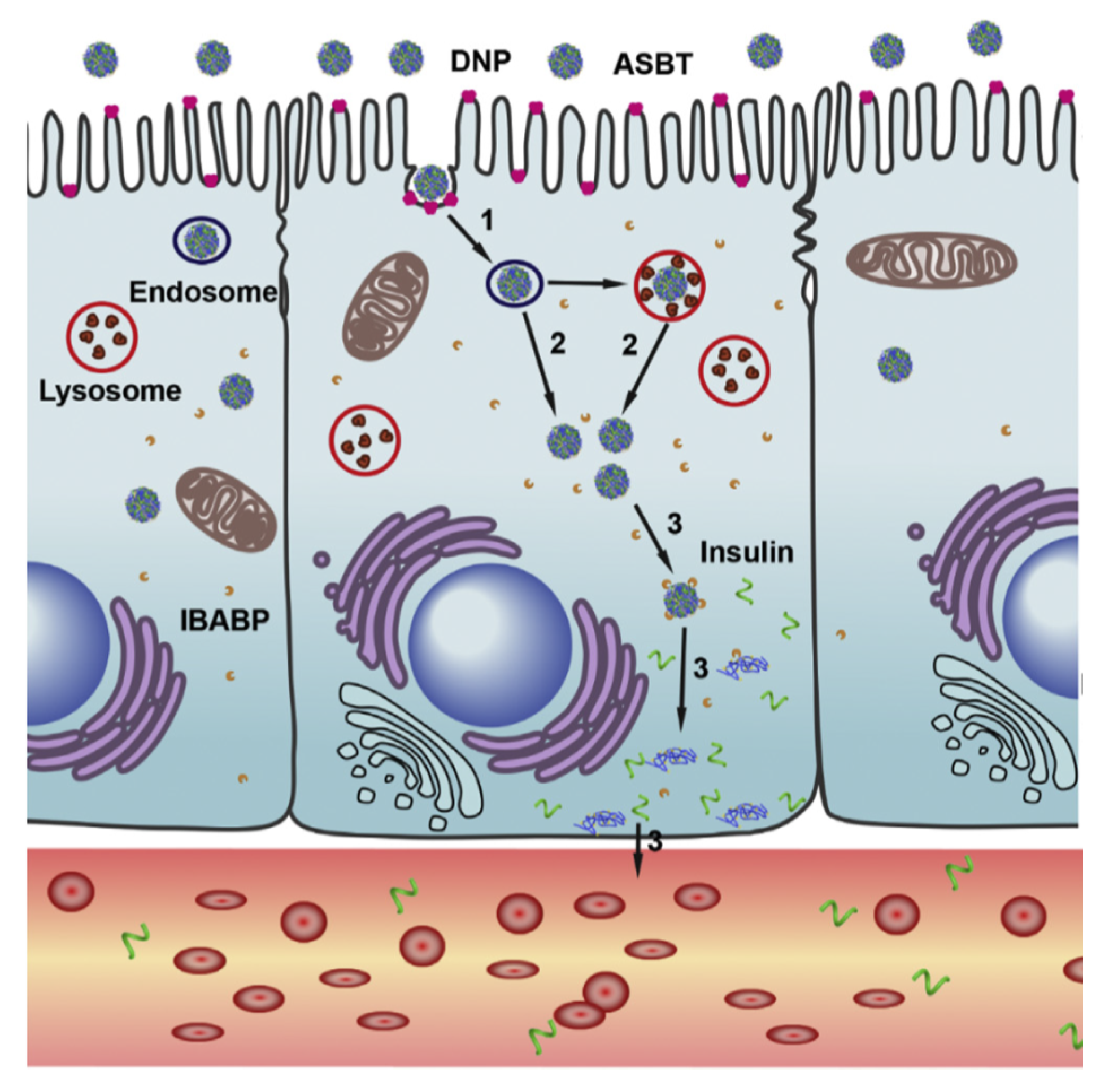 Prosthesis 02 00012 g010
