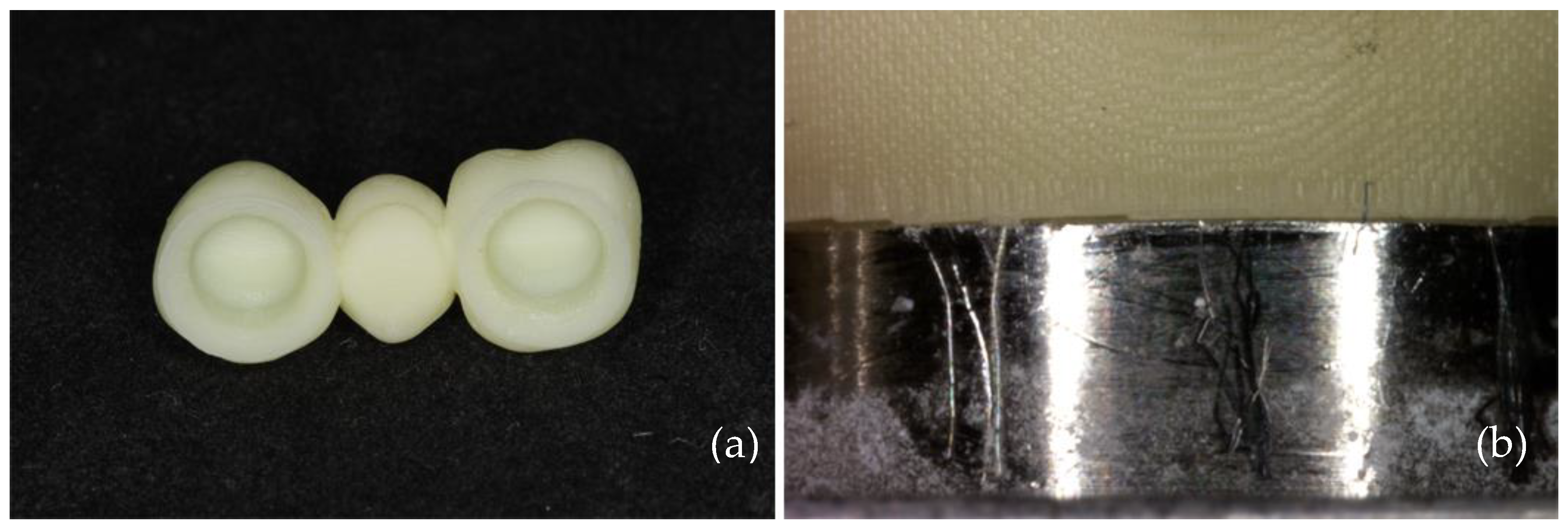 Prosthesis 02 00021 g002