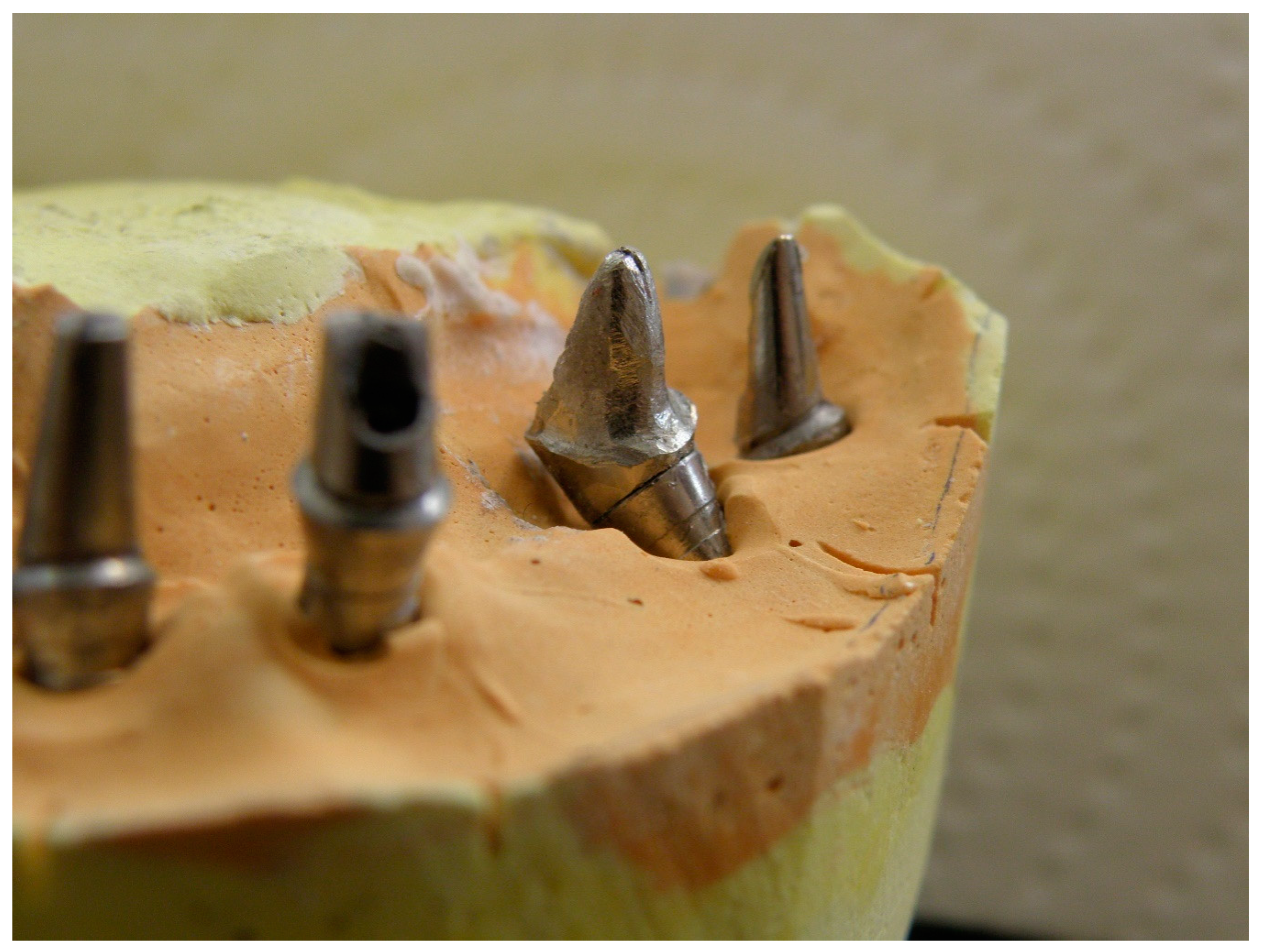 Prosthesis 02 00022 g004