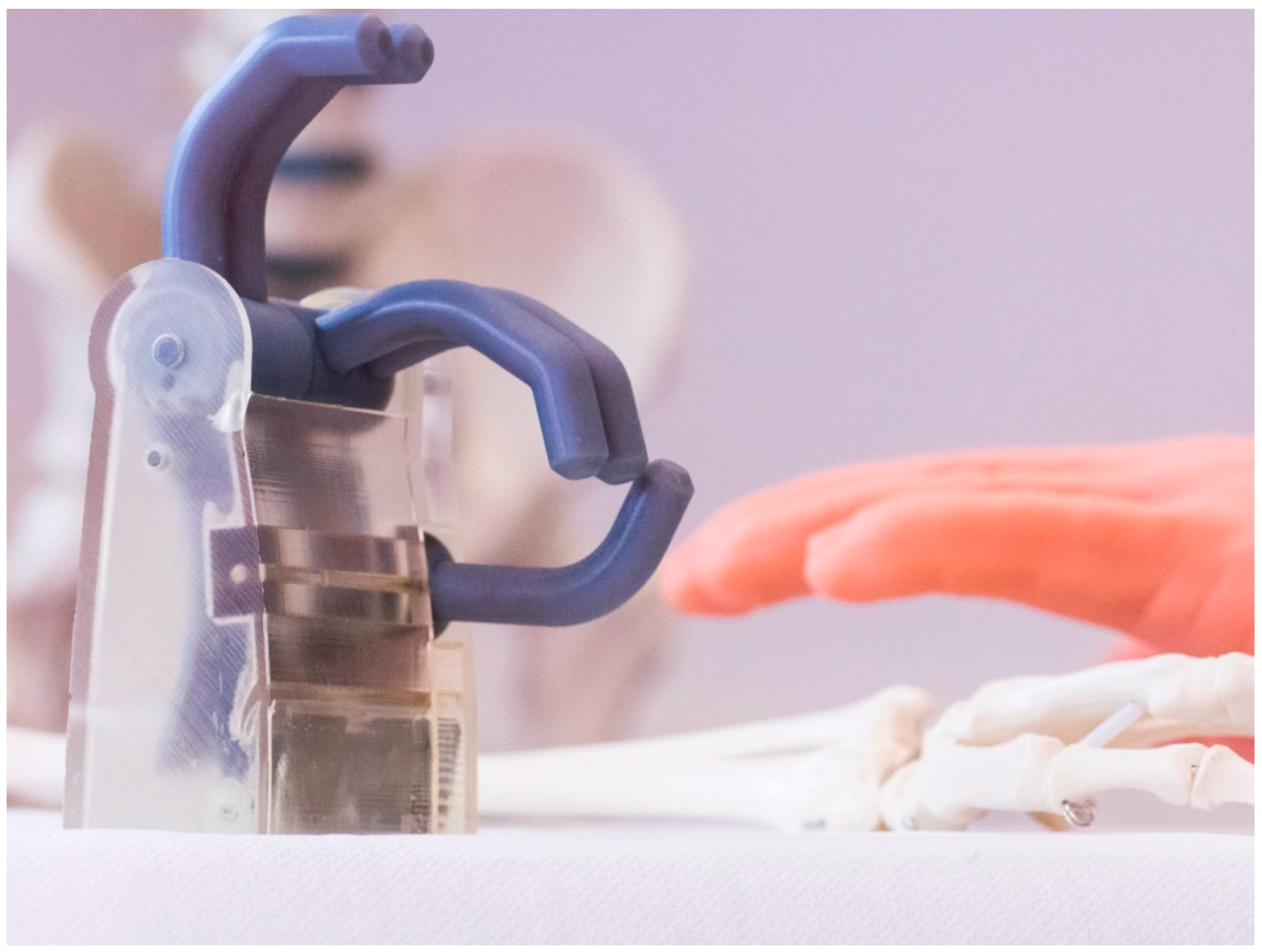 Prosthesis 02 00027 g002