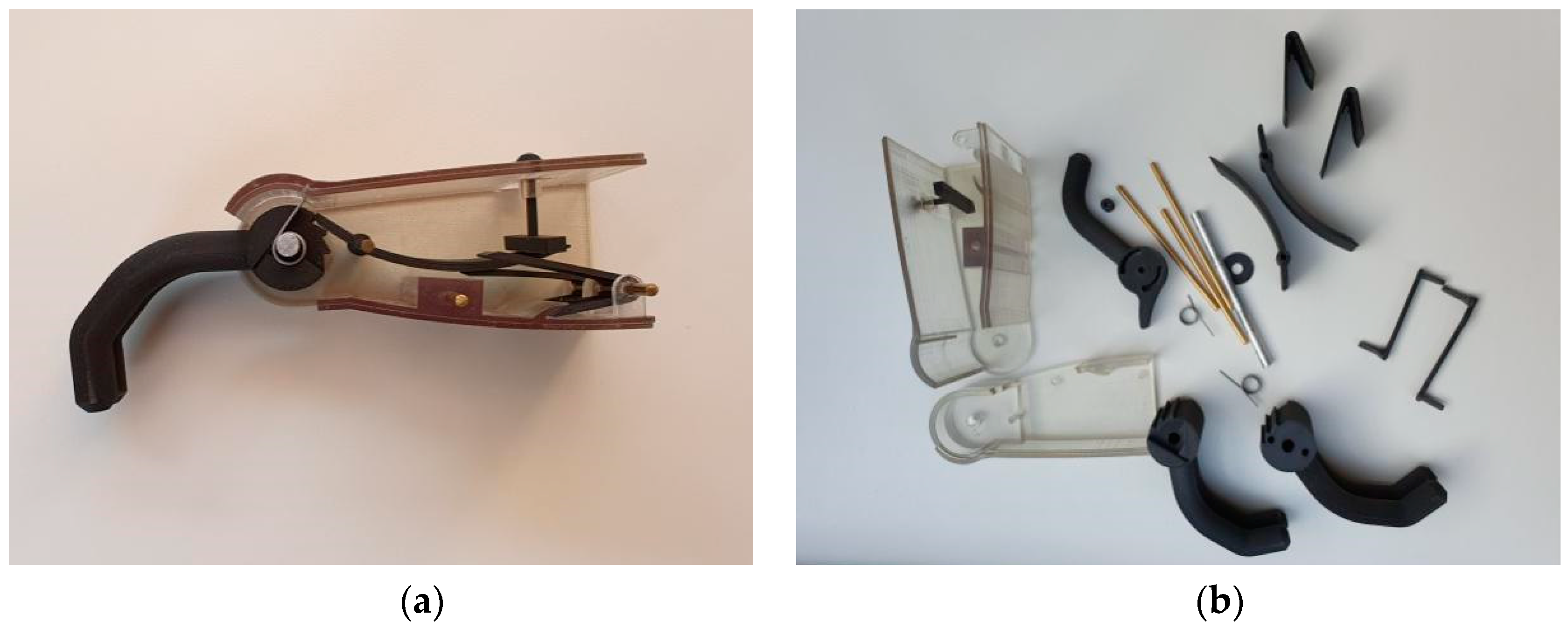 Prosthesis 02 00027 g004