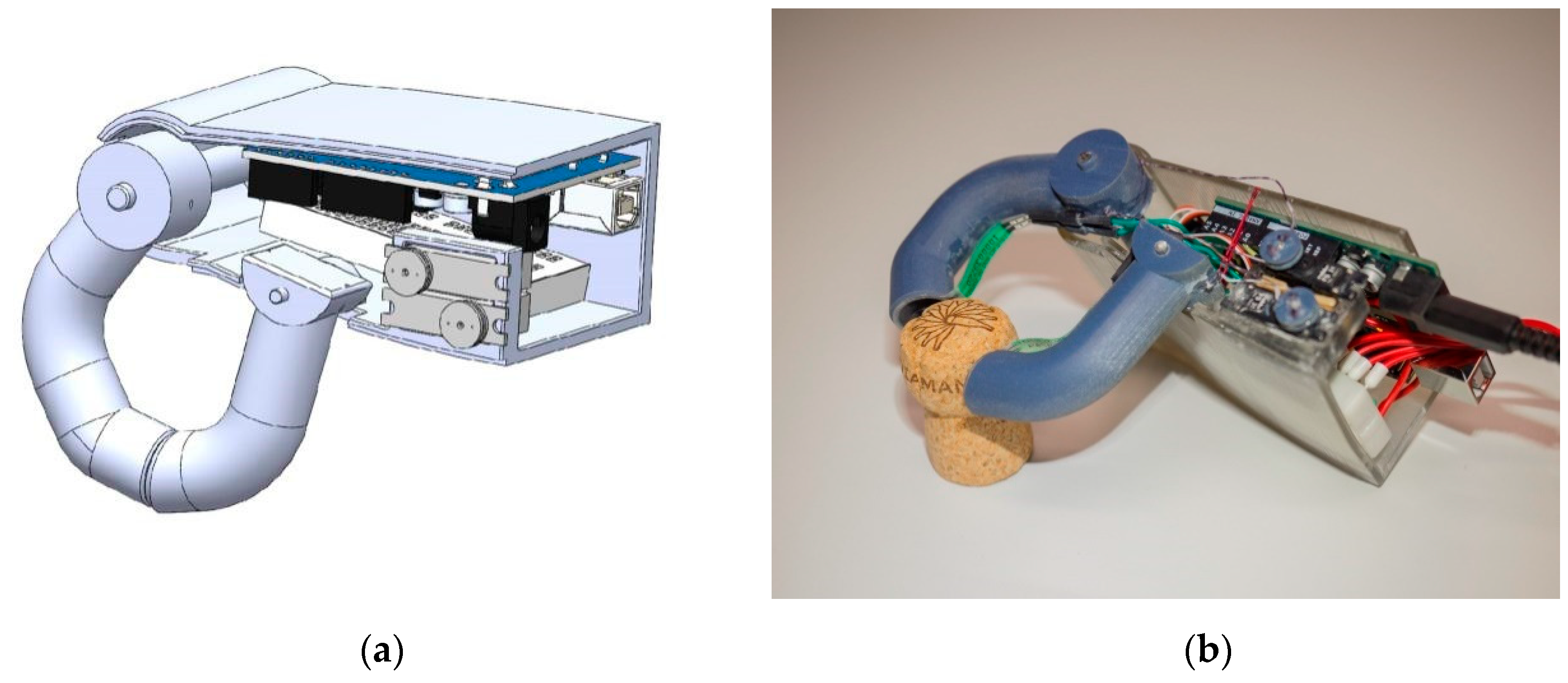 Prosthesis 02 00027 g005