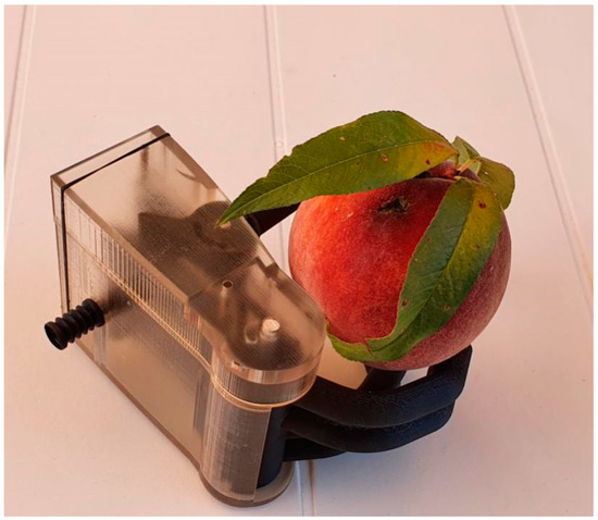 Prosthesis 02 00027 g0a4 550