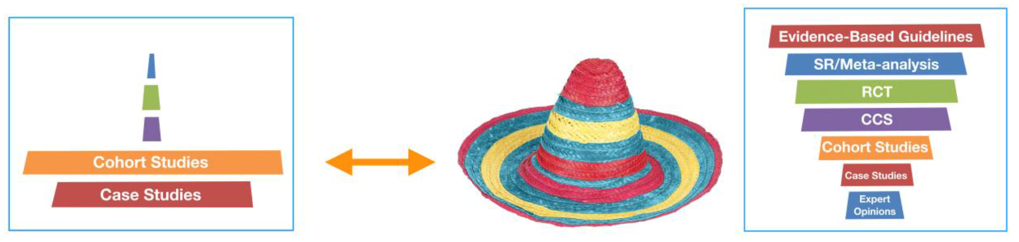 Prosthesis 02 00032 g003