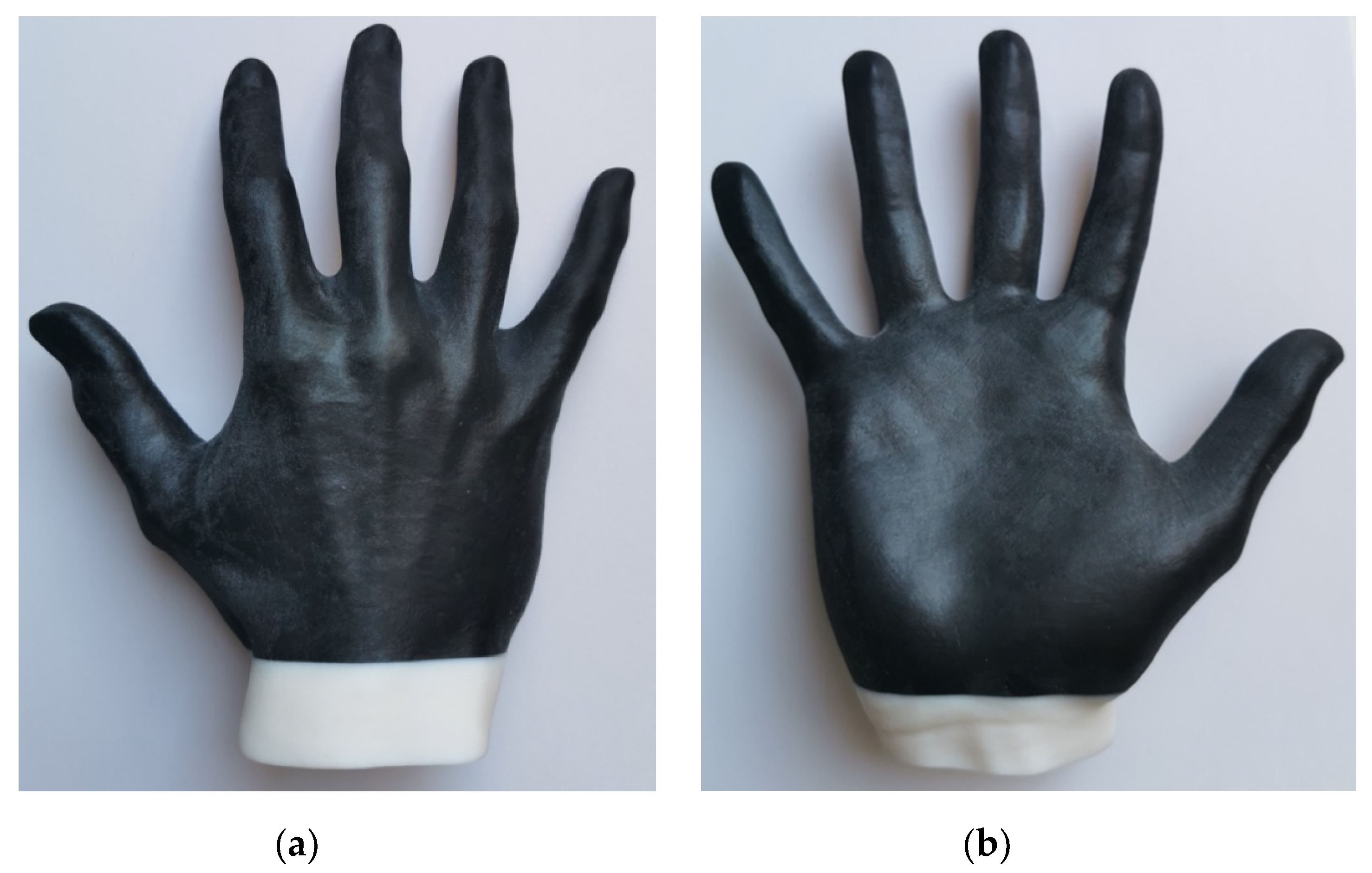 Prosthesis 02 00034 g001