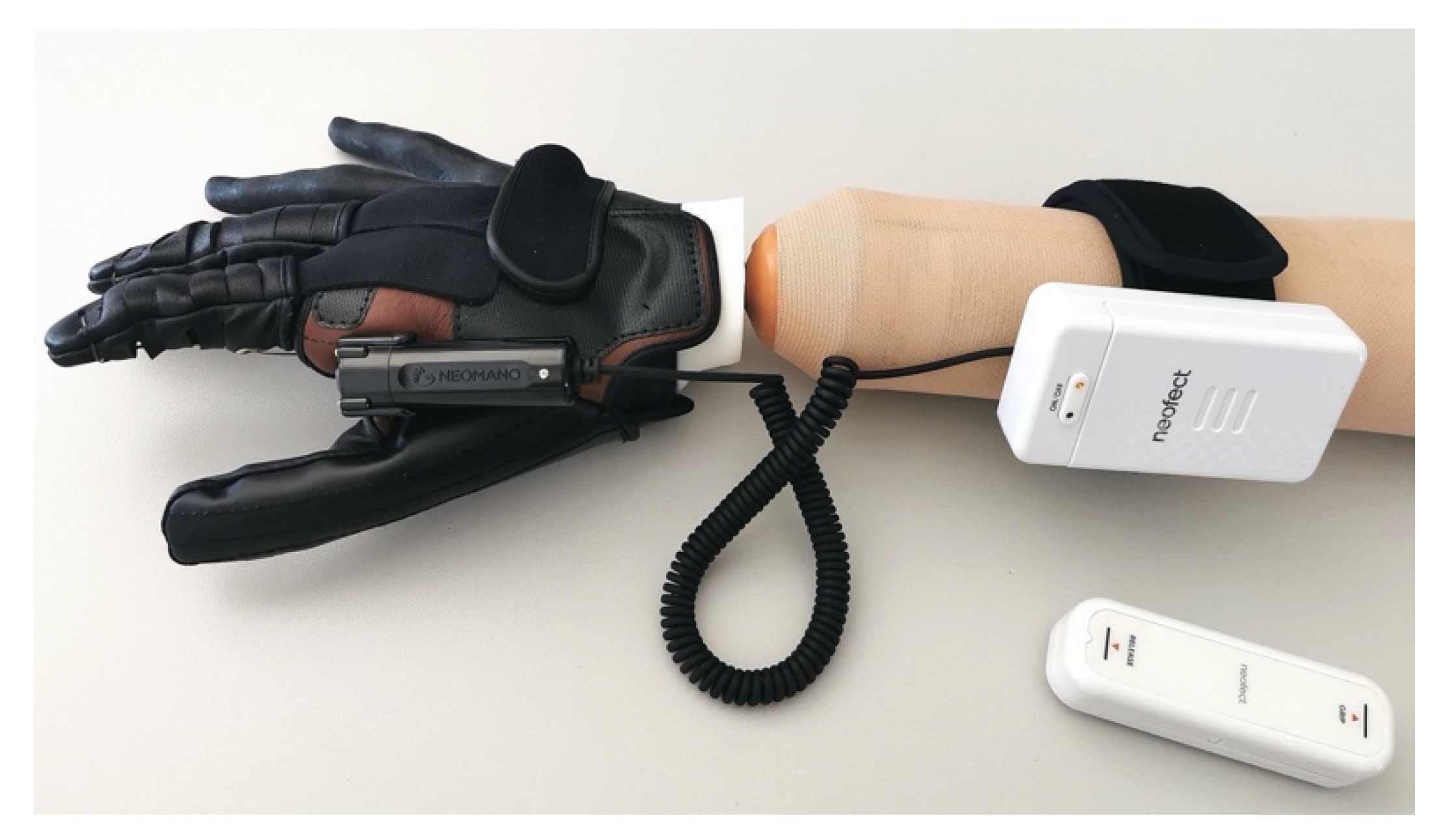 Prosthesis 02 00034 g003