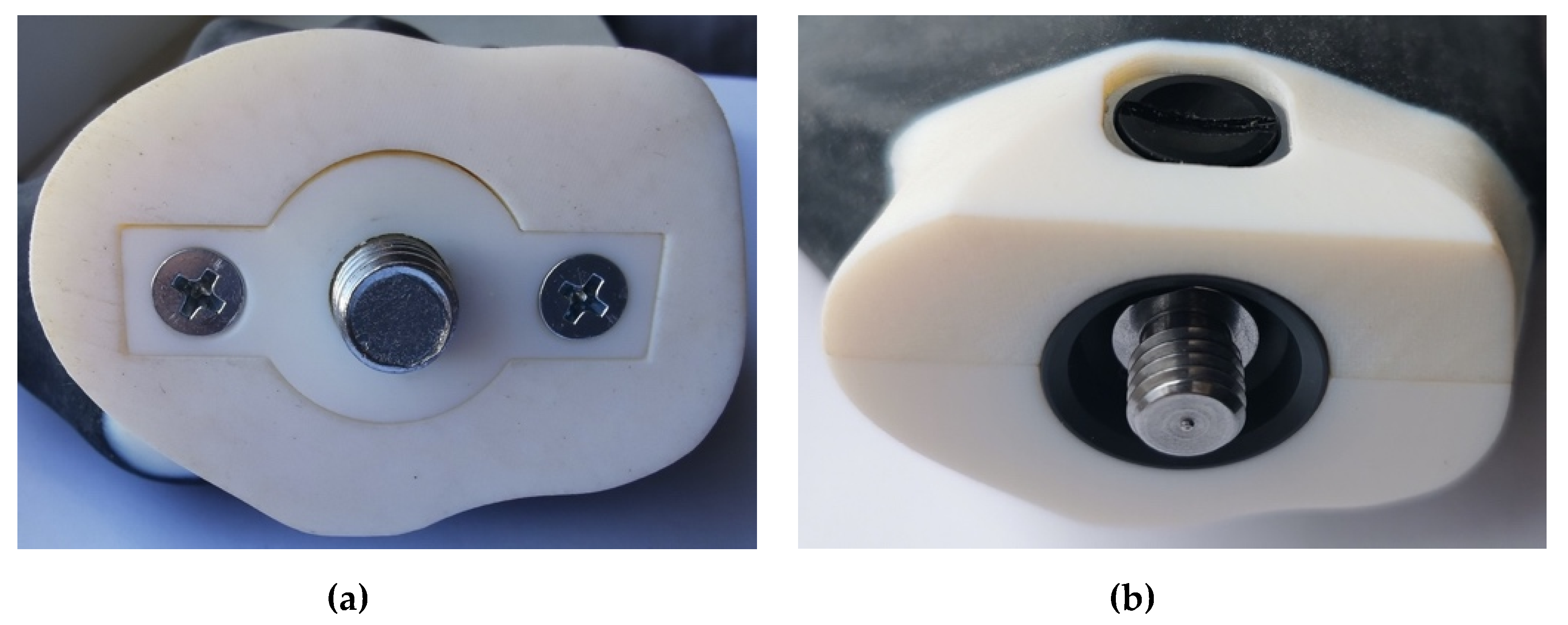 Prosthesis 02 00034 g005