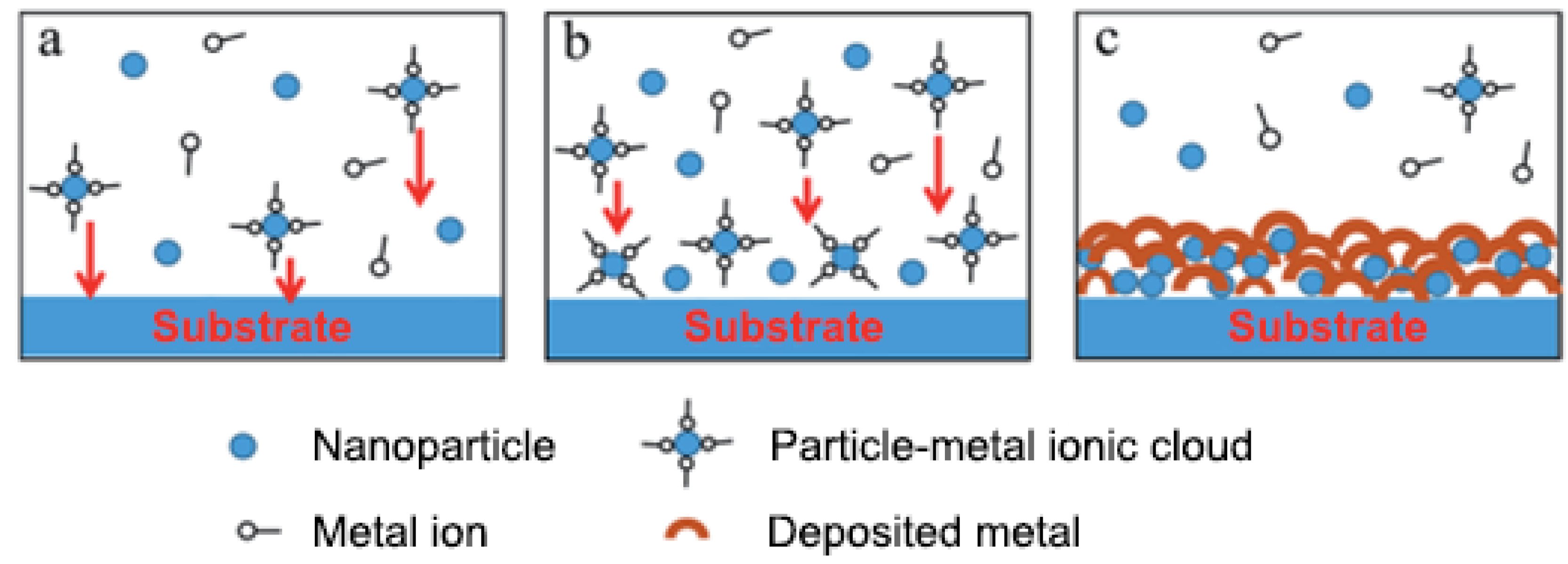 Prosthesis 03 00005 g002